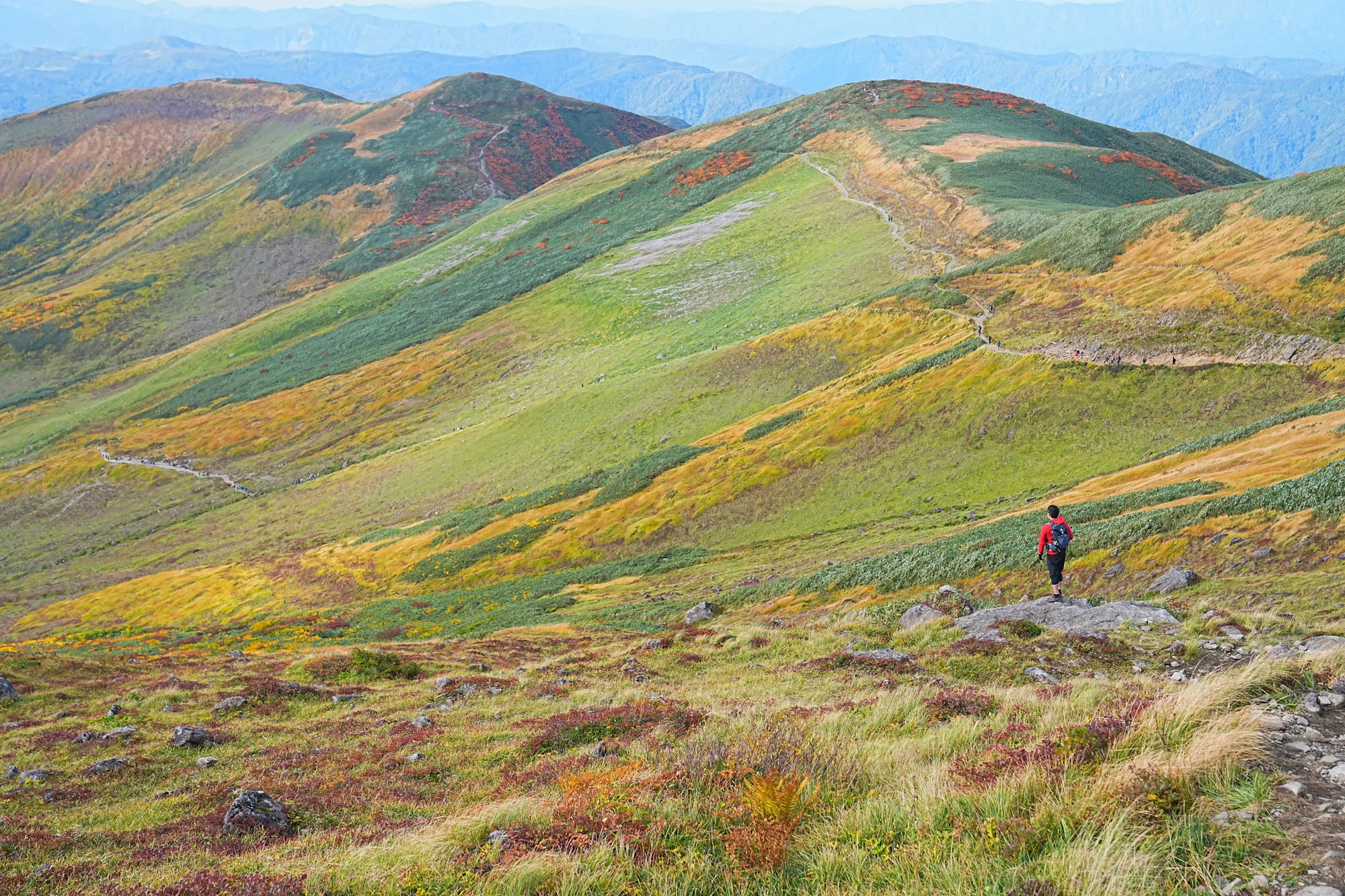 紅葉に染まる名峰・月山。2025年紅葉状況レポート。