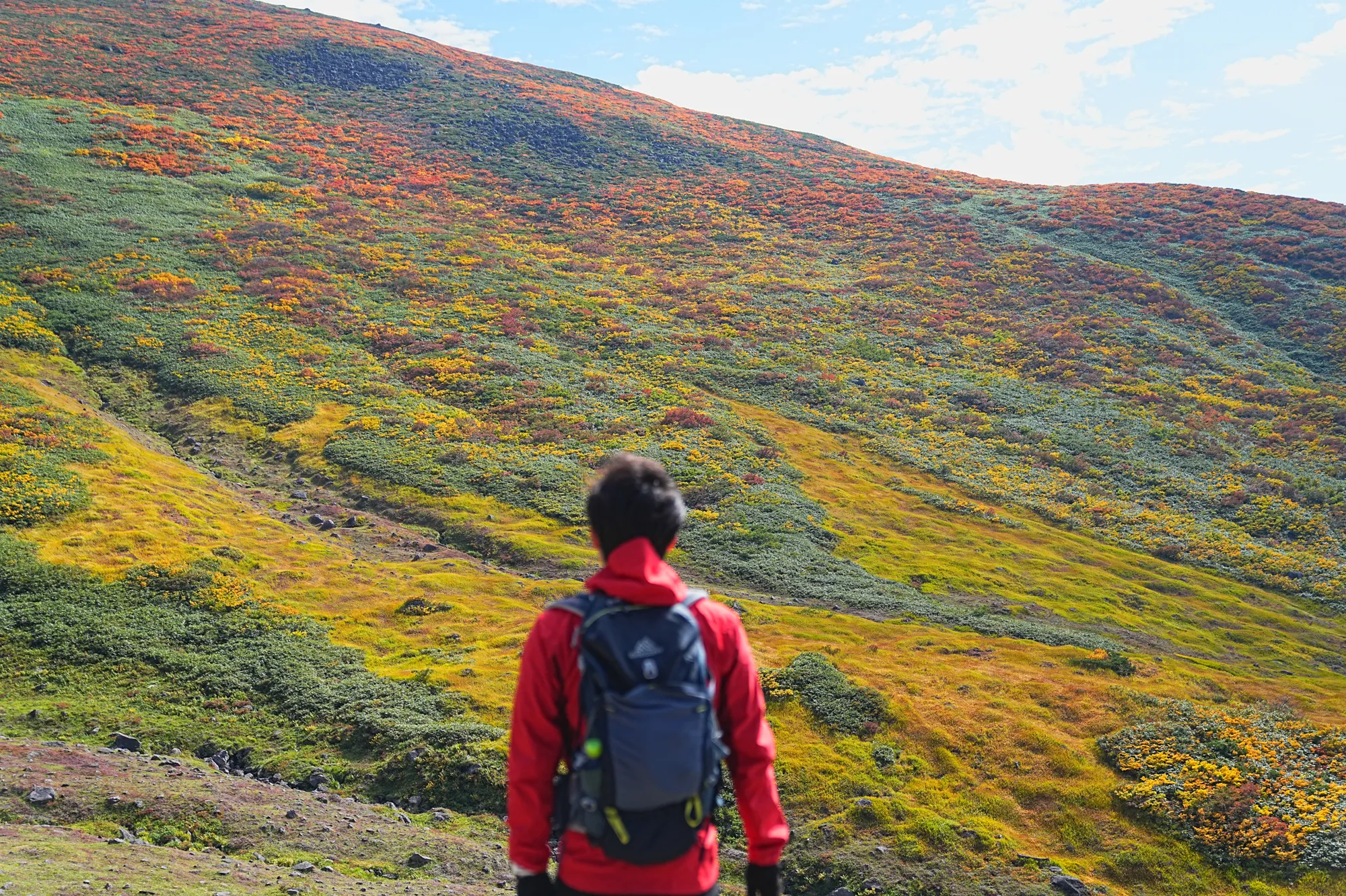 紅葉に染まる名峰・月山。2025年紅葉状況レポート。