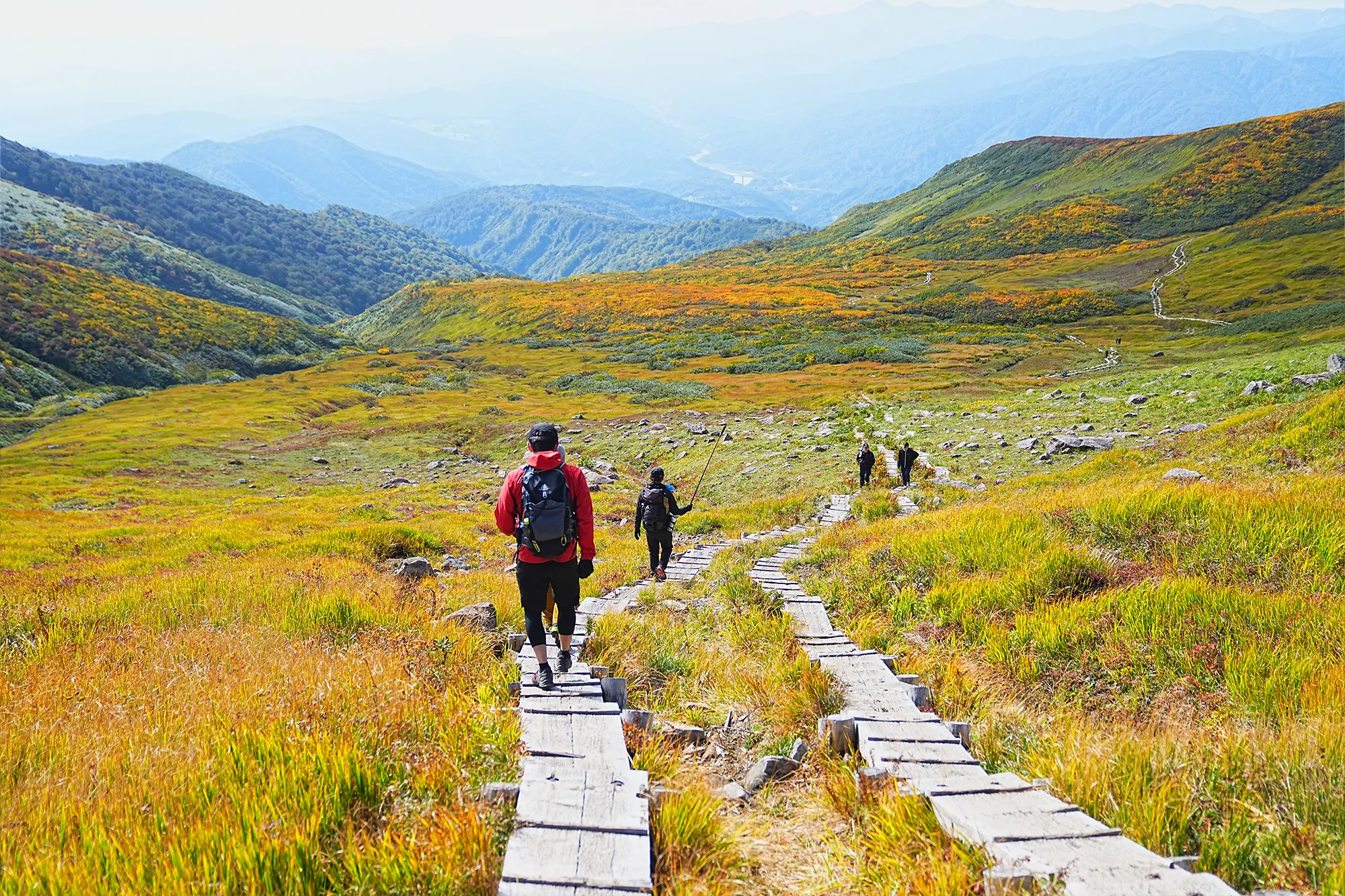 紅葉に染まる名峰・月山。2025年紅葉状況レポート。