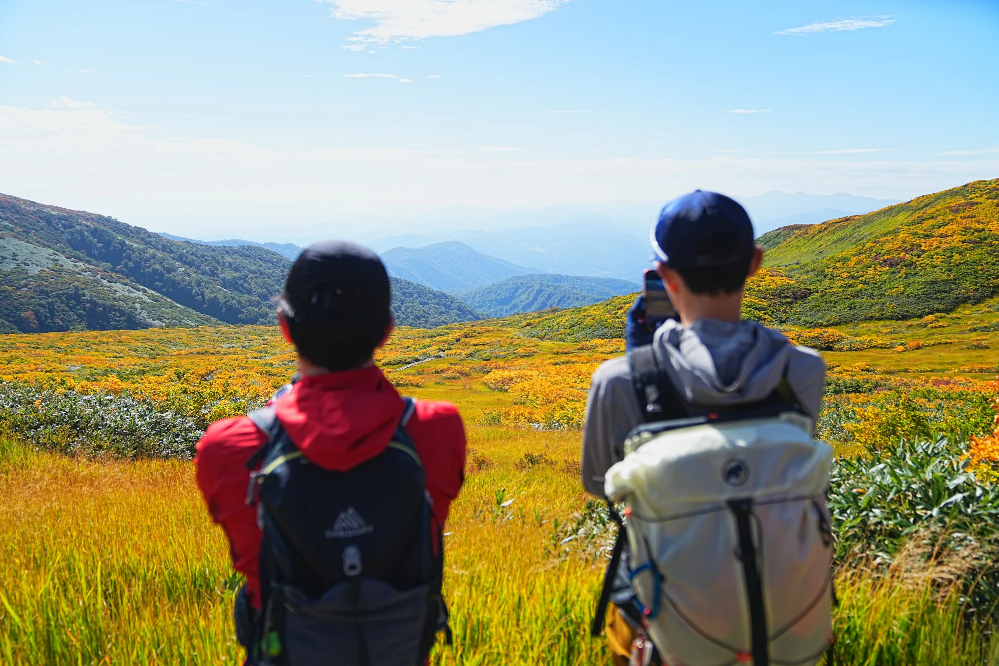 紅葉に染まる名峰・月山。2025年紅葉状況レポート。
