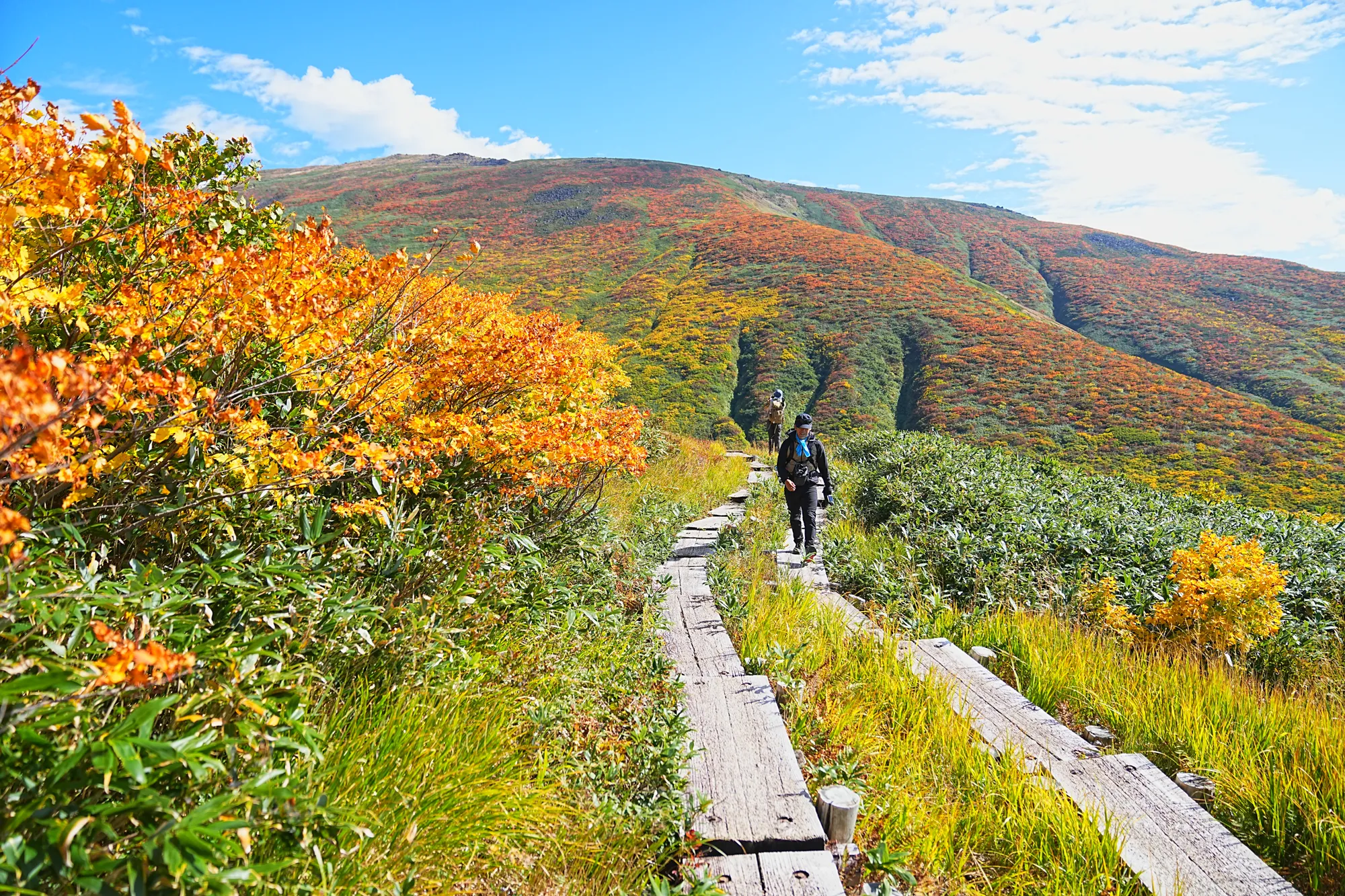 紅葉に染まる名峰・月山。2025年紅葉状況レポート。