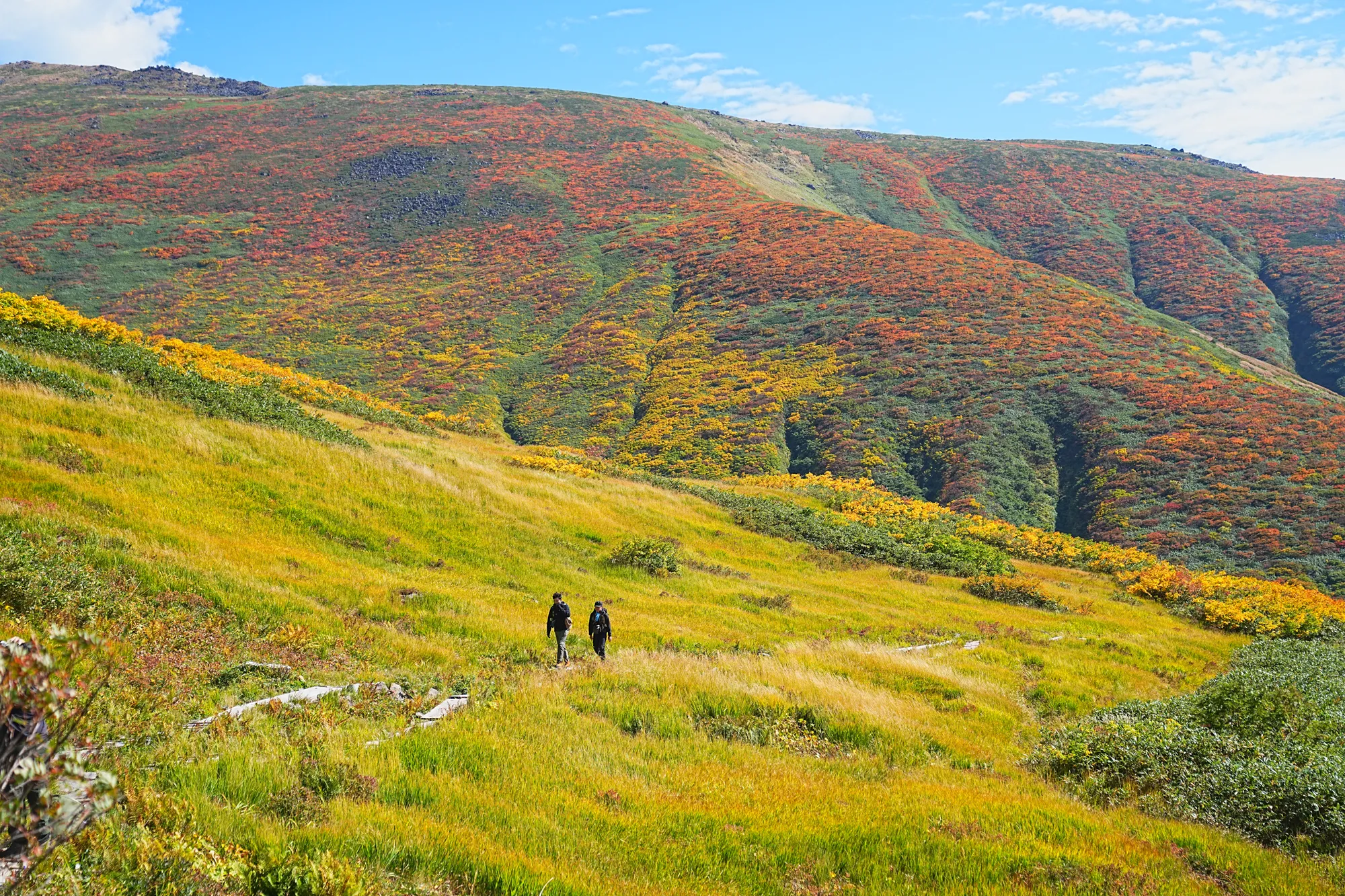 紅葉に染まる名峰・月山。2025年紅葉状況レポート。