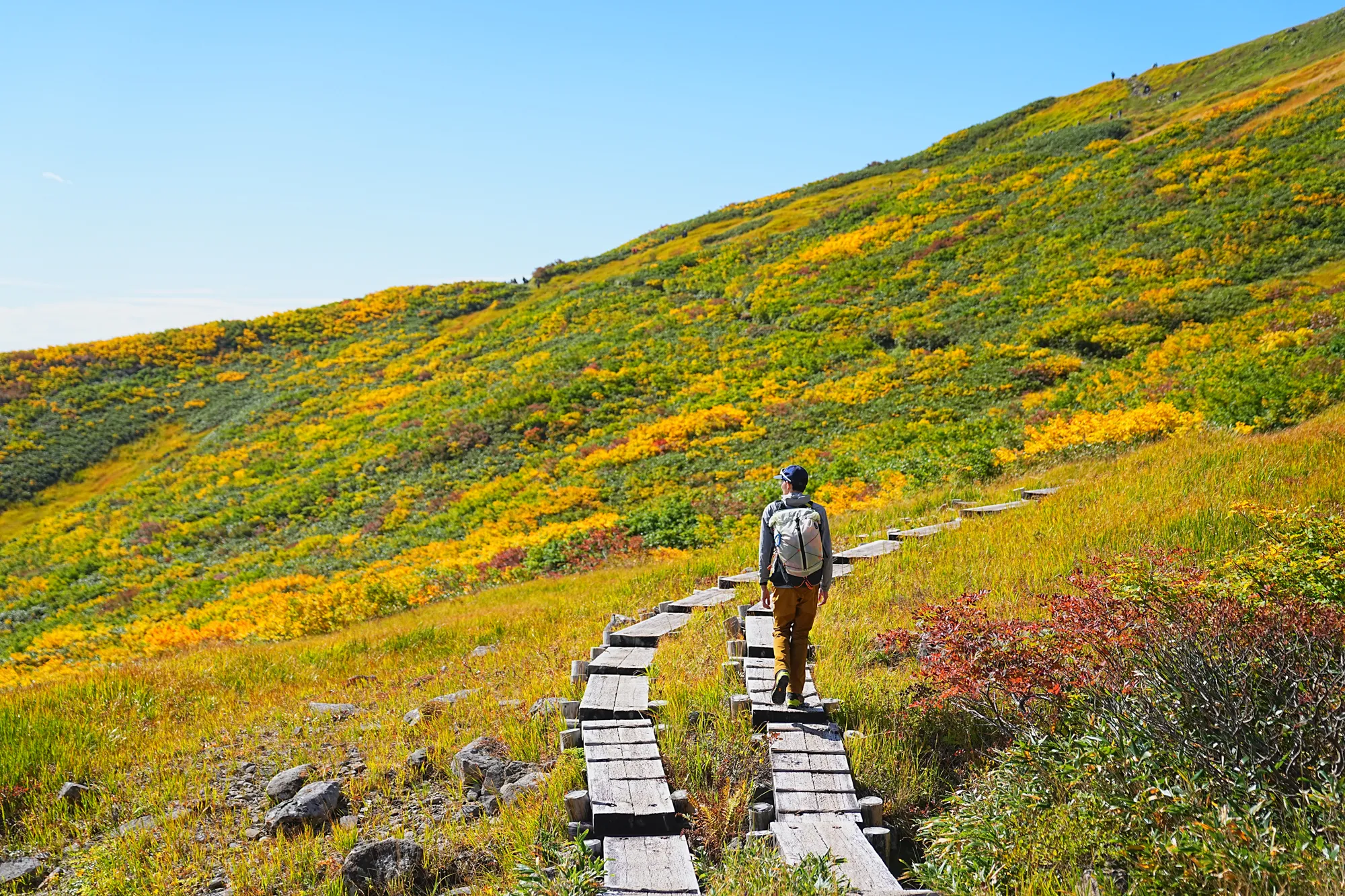 紅葉に染まる名峰・月山。2025年紅葉状況レポート。