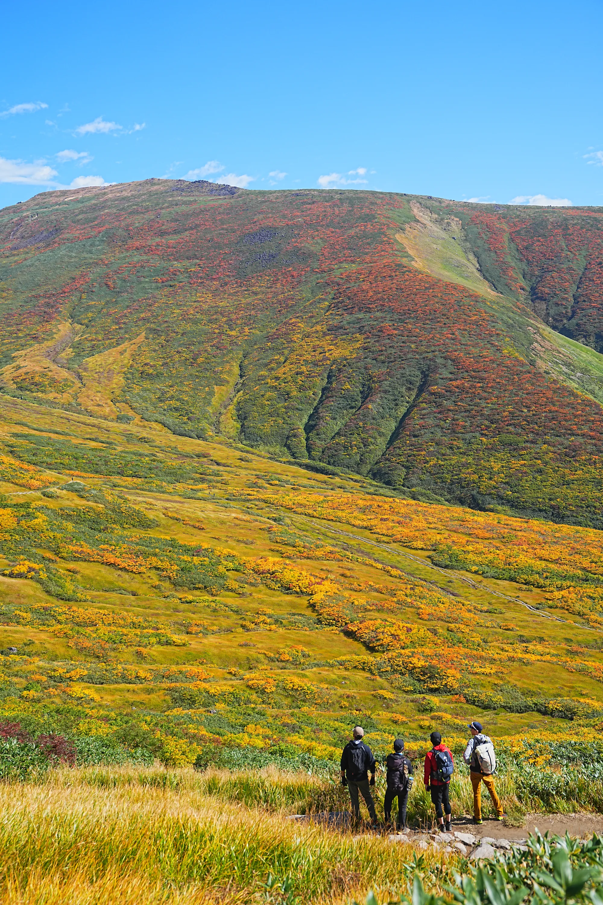 紅葉に染まる名峰・月山。2025年紅葉状況レポート。
