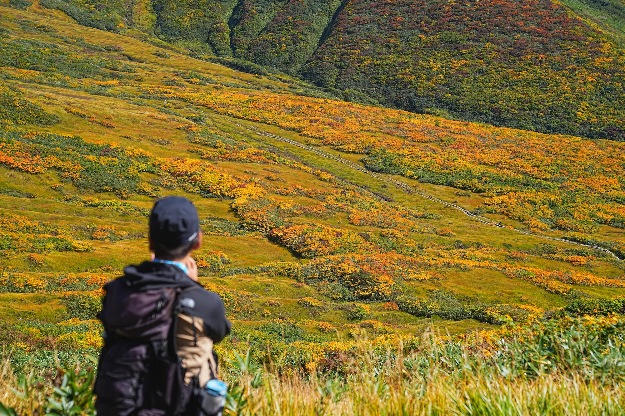 紅葉に染まる名峰・月山。2025年紅葉状況レポート。