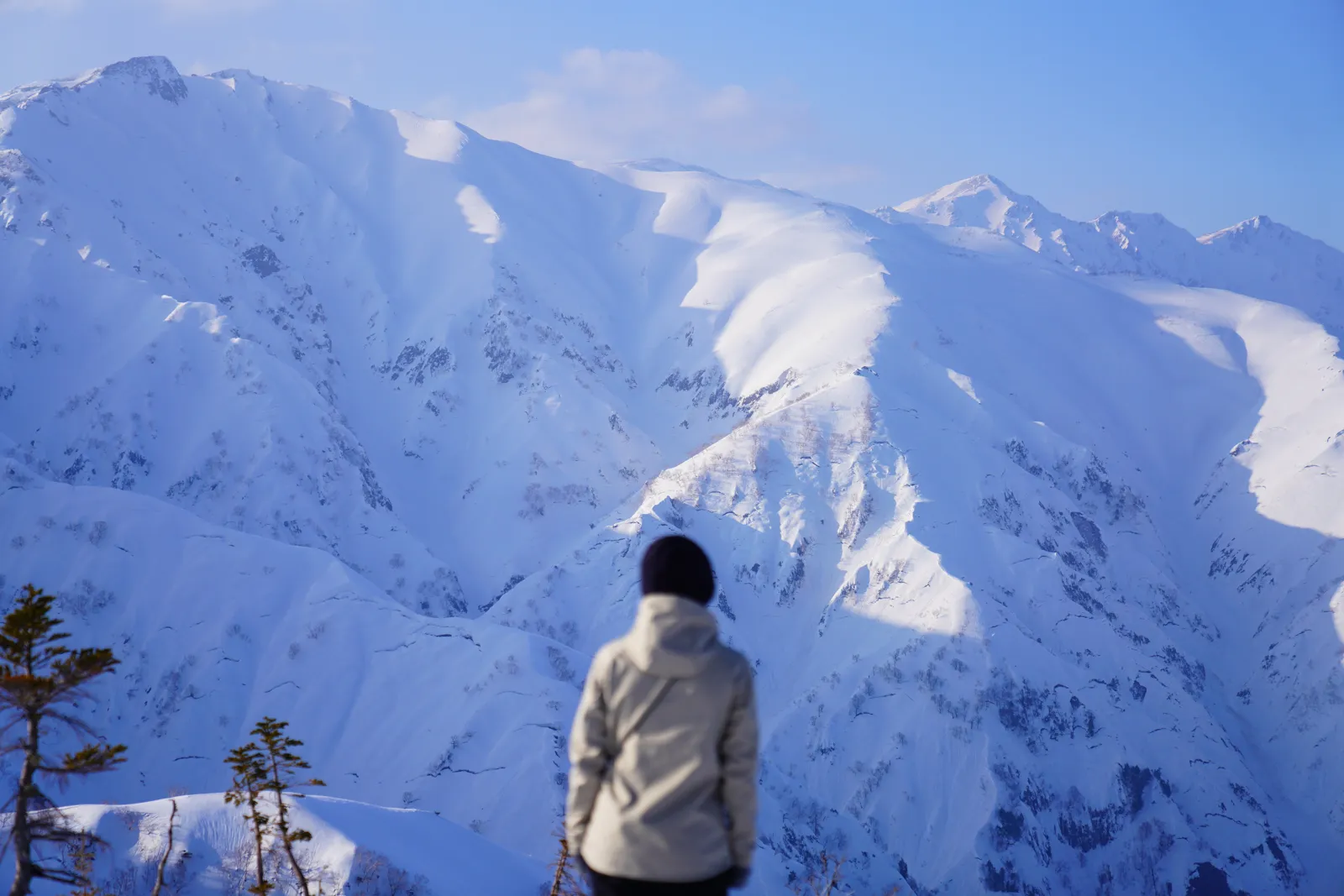 五竜岳 遠見尾根 冬季雪上テント泊
