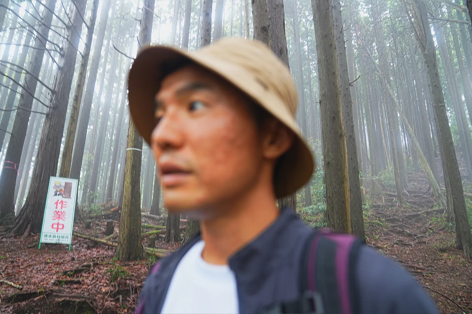 静岡 浜石岳 ハイキング