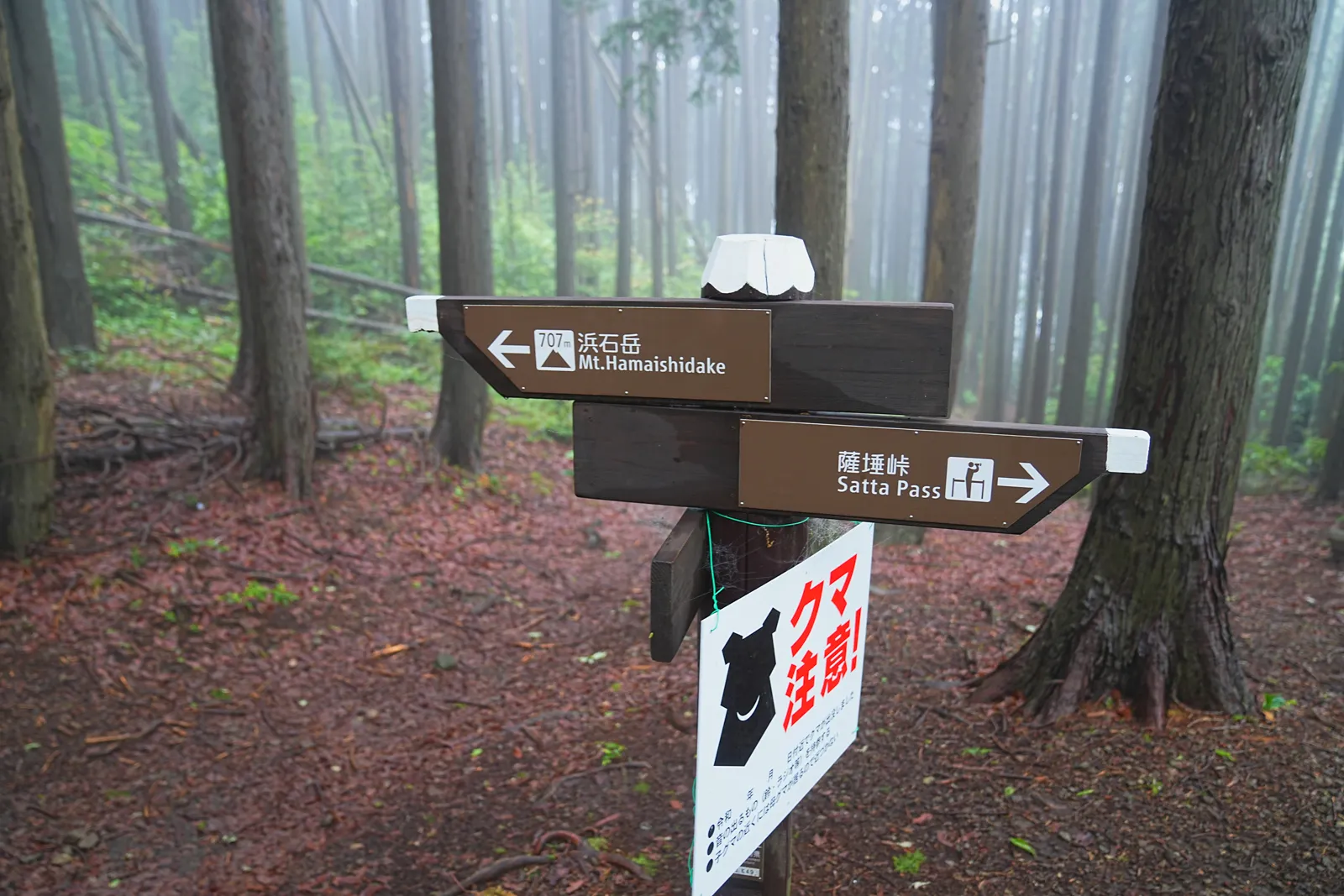 静岡 浜石岳 ハイキング