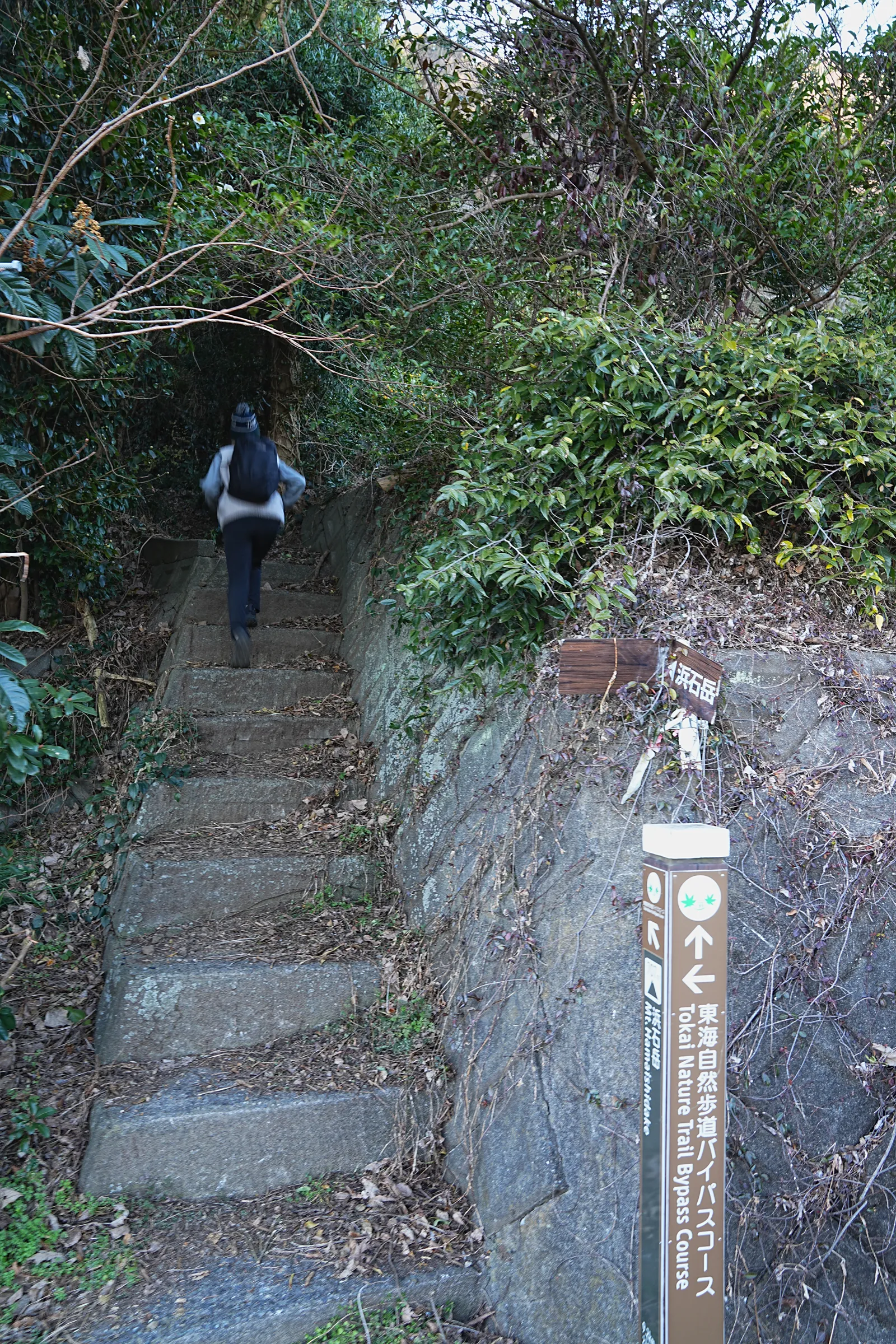 巨大な富士山を見に静岡、浜石岳・薩埵峠へ