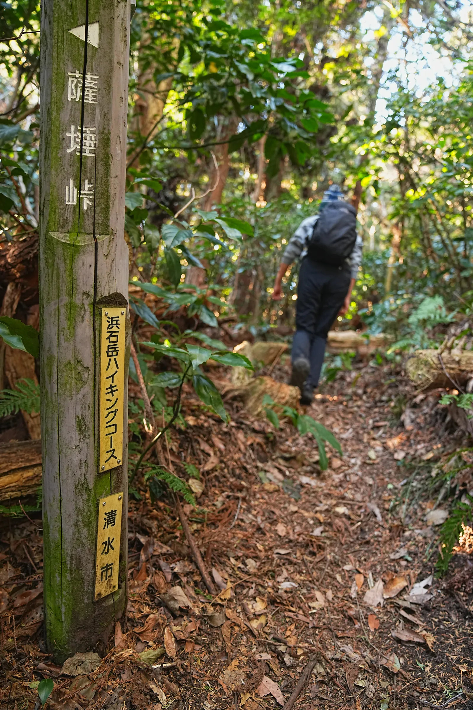 巨大な富士山を見に静岡、浜石岳・薩埵峠へ