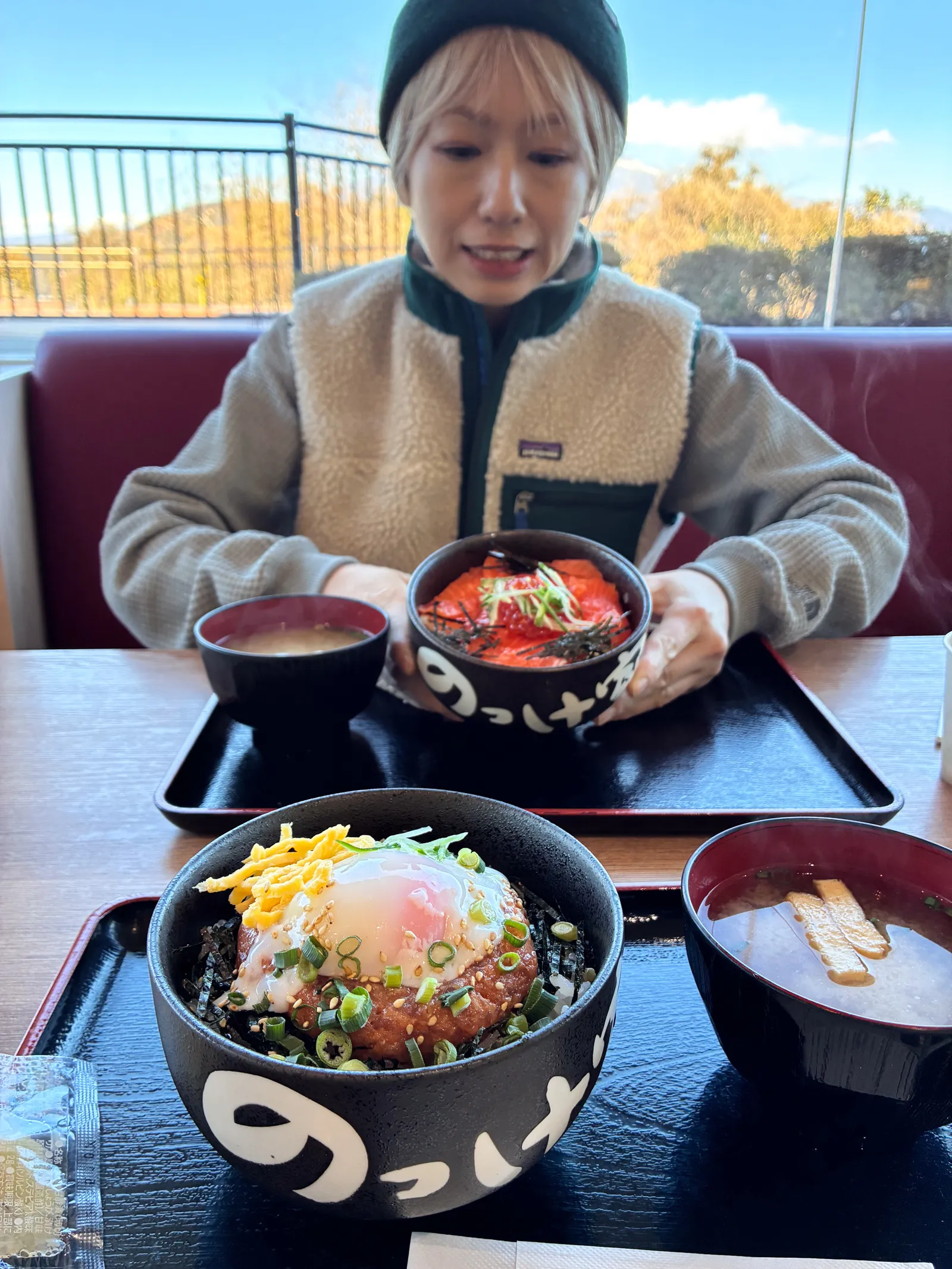 巨大な富士山を見に静岡、浜石岳・薩埵峠へ