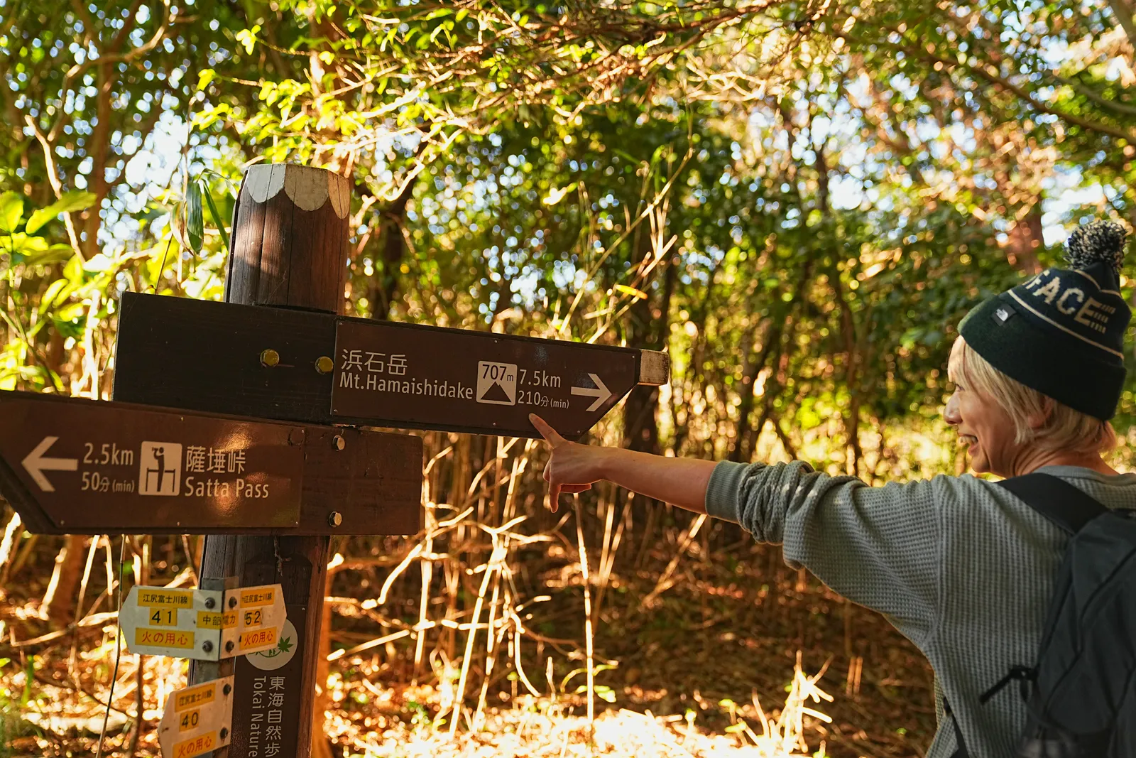 巨大な富士山を見に静岡、浜石岳・薩埵峠へ