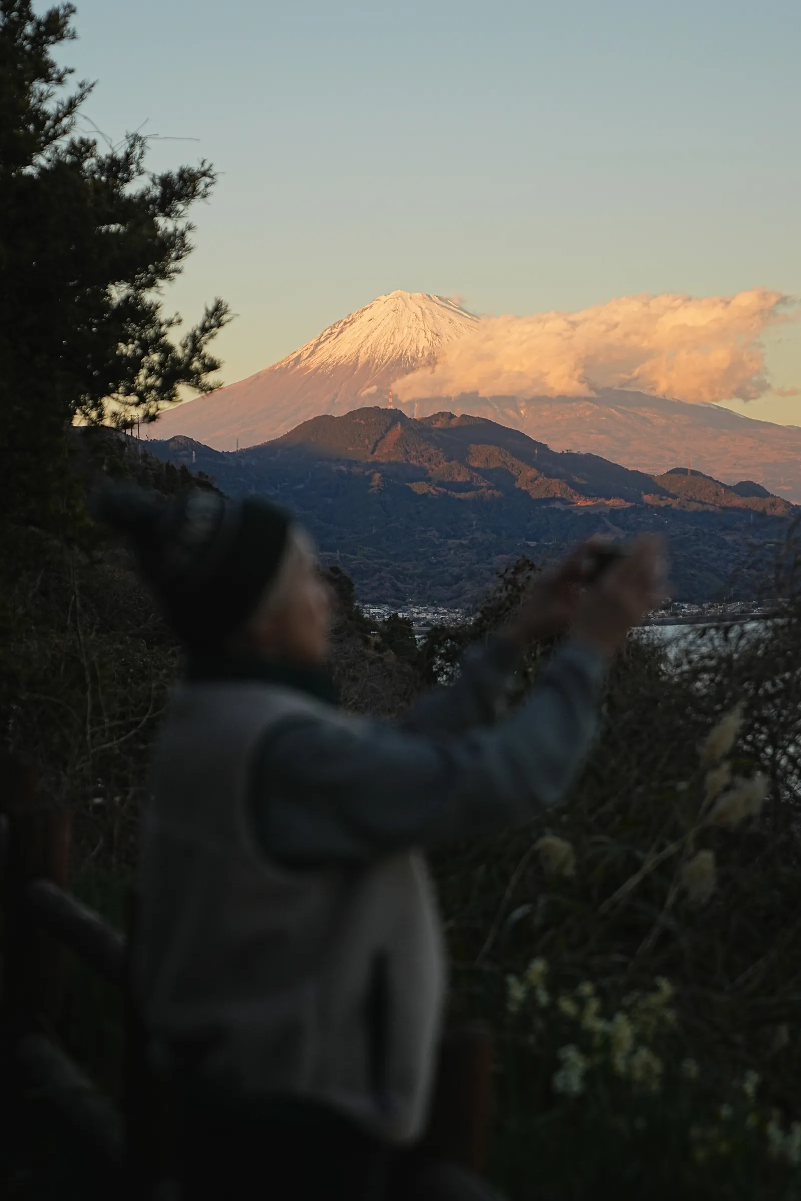巨大な富士山を見に静岡、浜石岳・薩埵峠へ