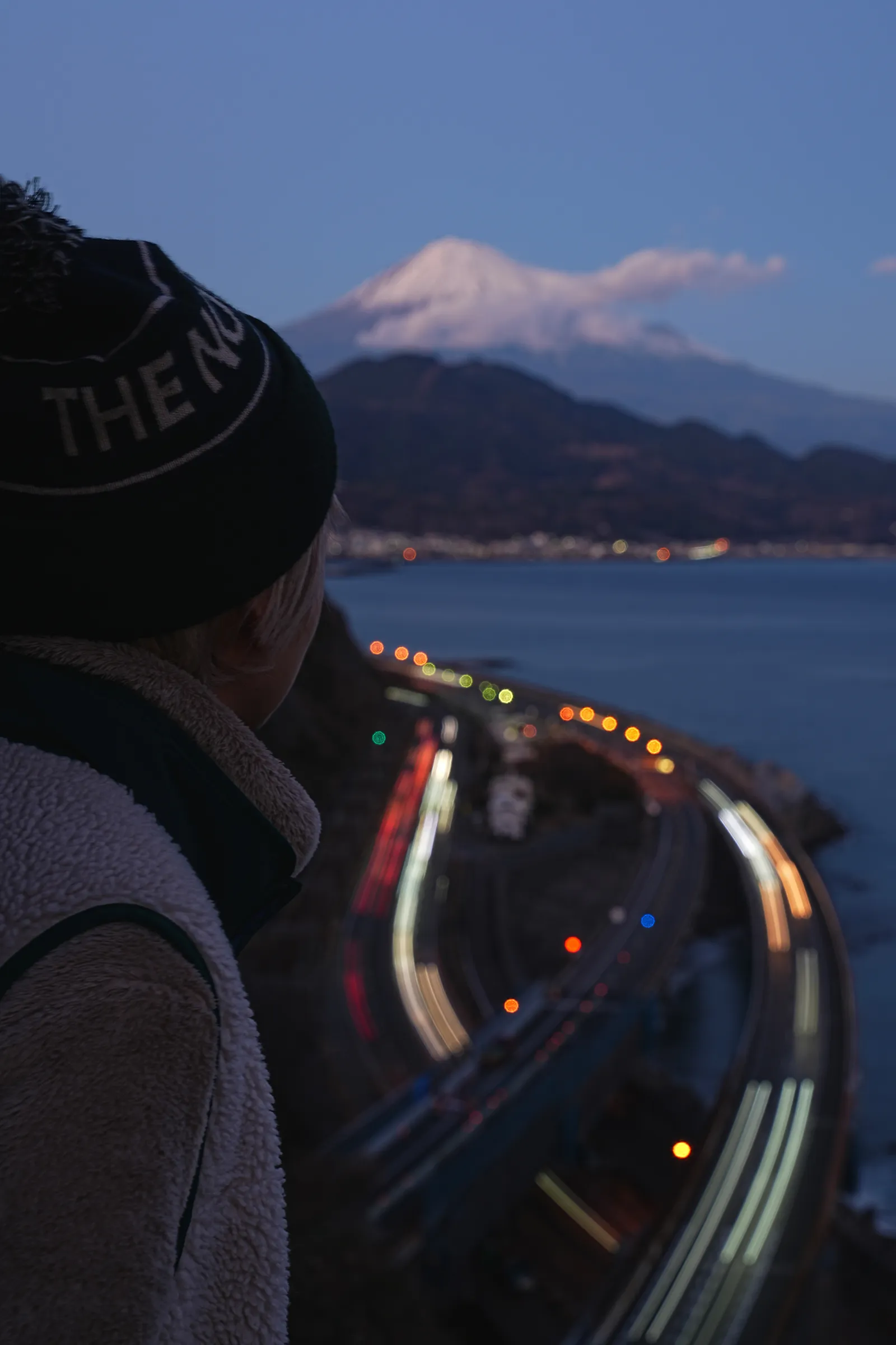 巨大な富士山を見に静岡、浜石岳・薩埵峠へ