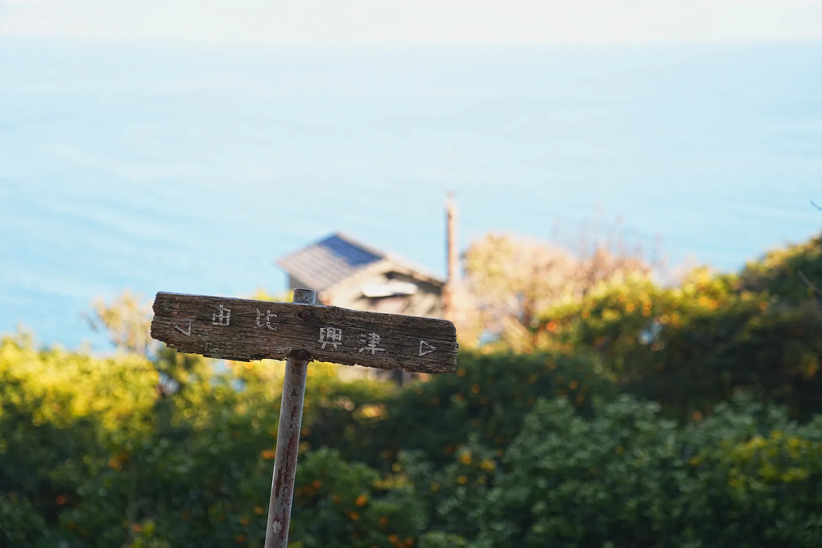 巨大な富士山を見に静岡、浜石岳・薩埵峠へ
