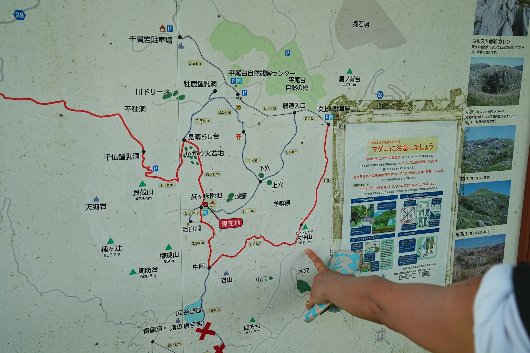 日本三大カルスト。福岡の平尾台ハイキング！
