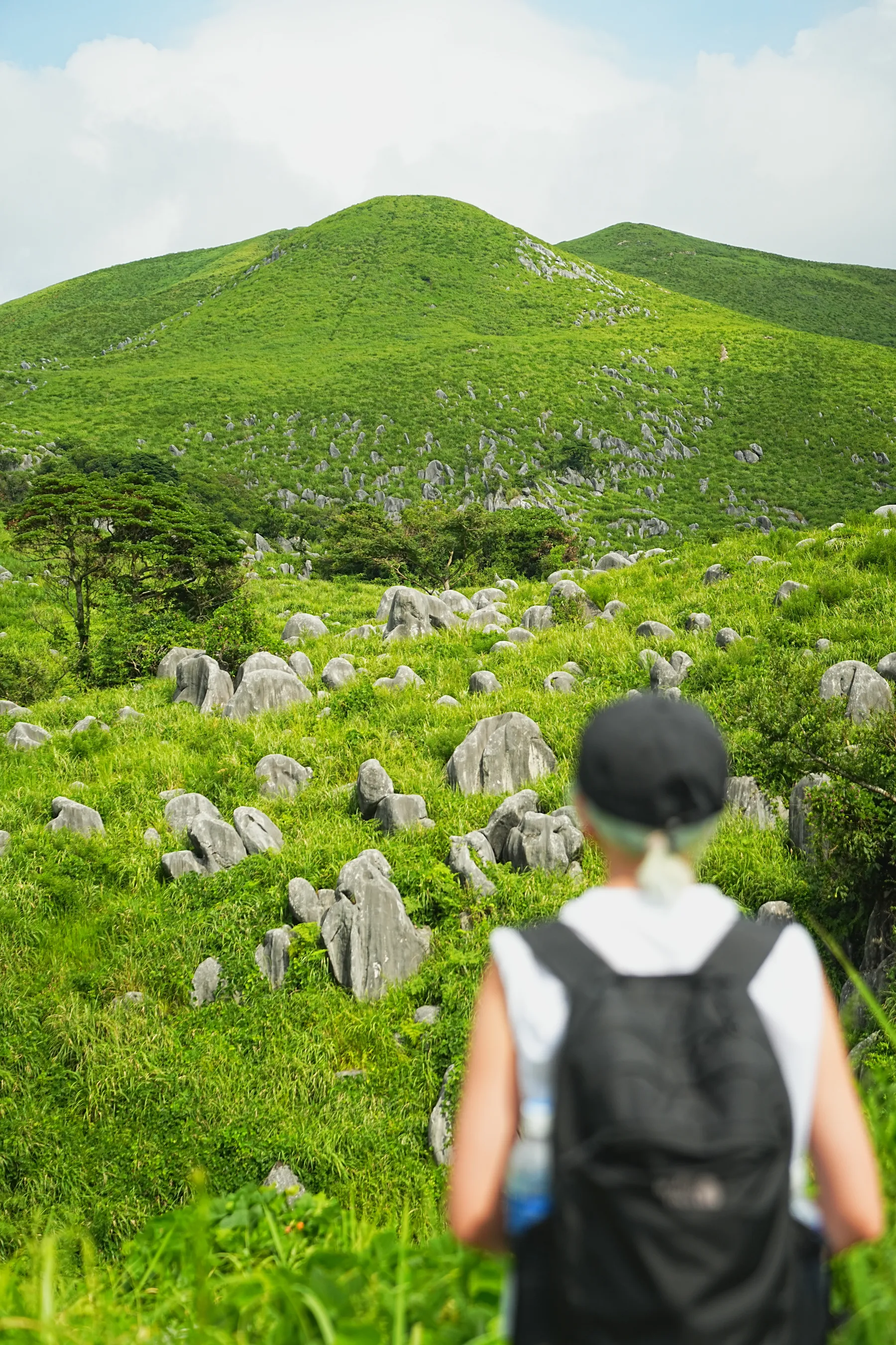 日本三大カルスト。福岡の平尾台ハイキング！