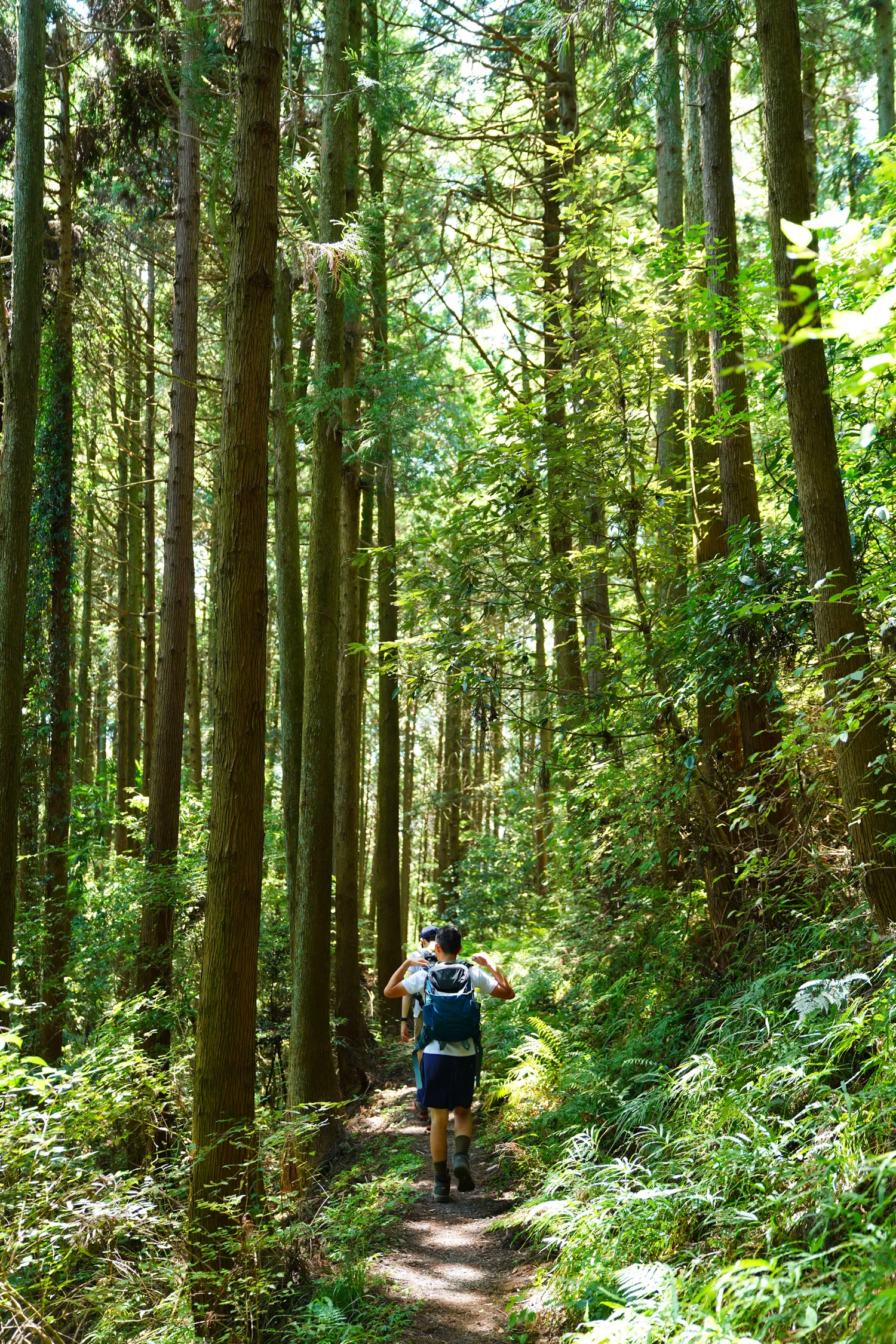埼玉県の素敵な里山「日和田山」をのんびりハイキング
