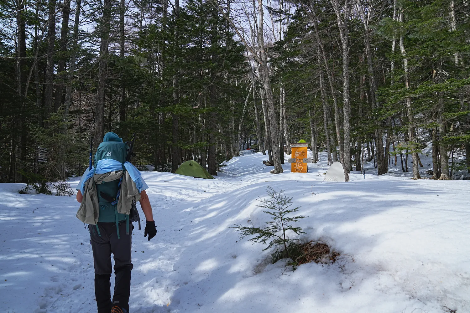 日本の秘湯 本沢温泉へ！日本最高所の野天風呂レポート！