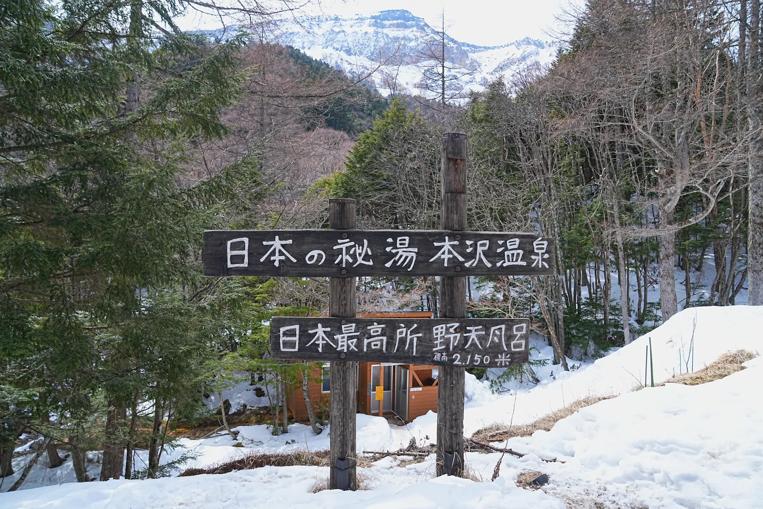 日本の秘湯 本沢温泉へ！日本最高所の野天風呂レポート！