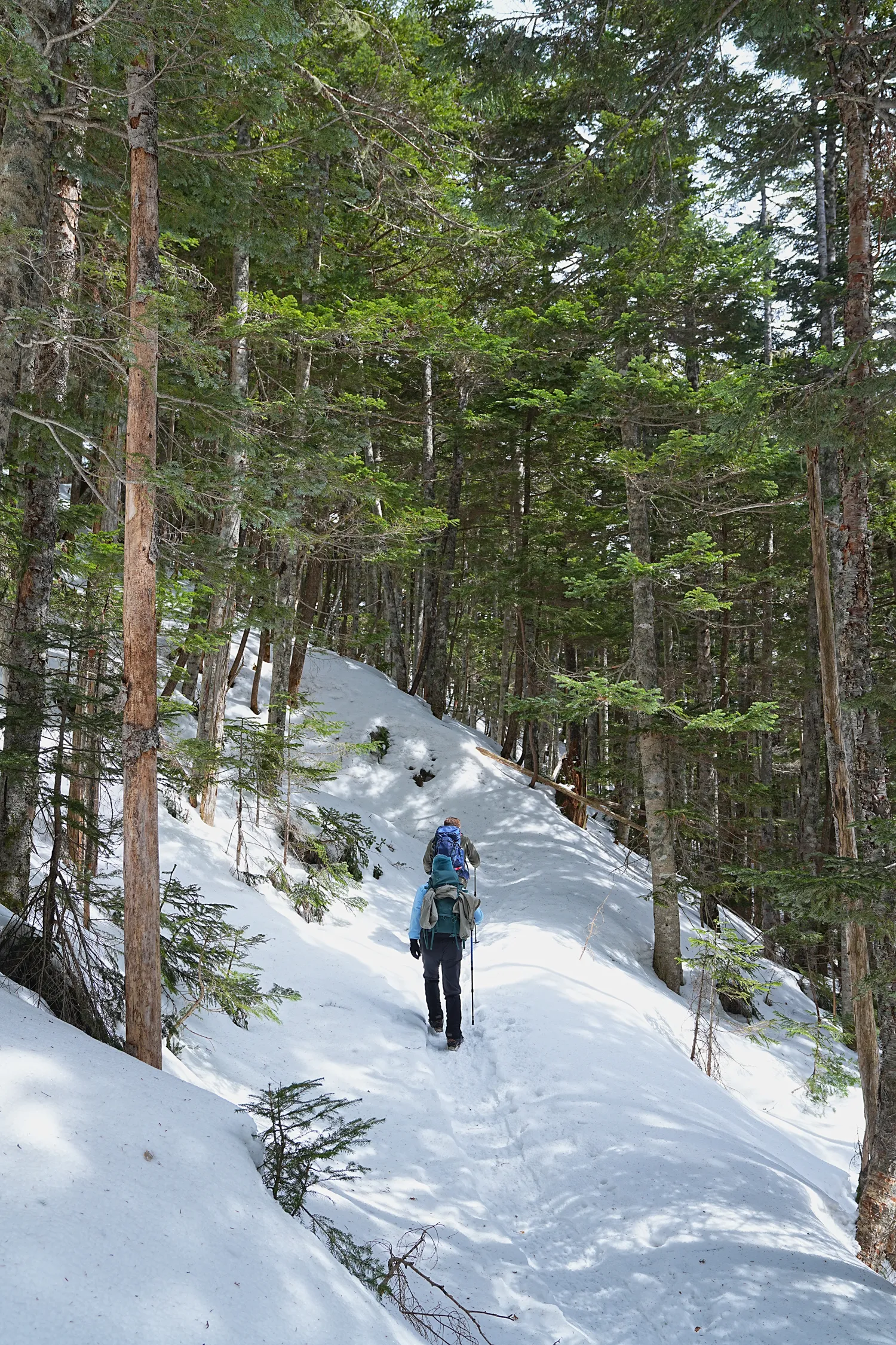 日本の秘湯 本沢温泉へ！日本最高所の野天風呂レポート！