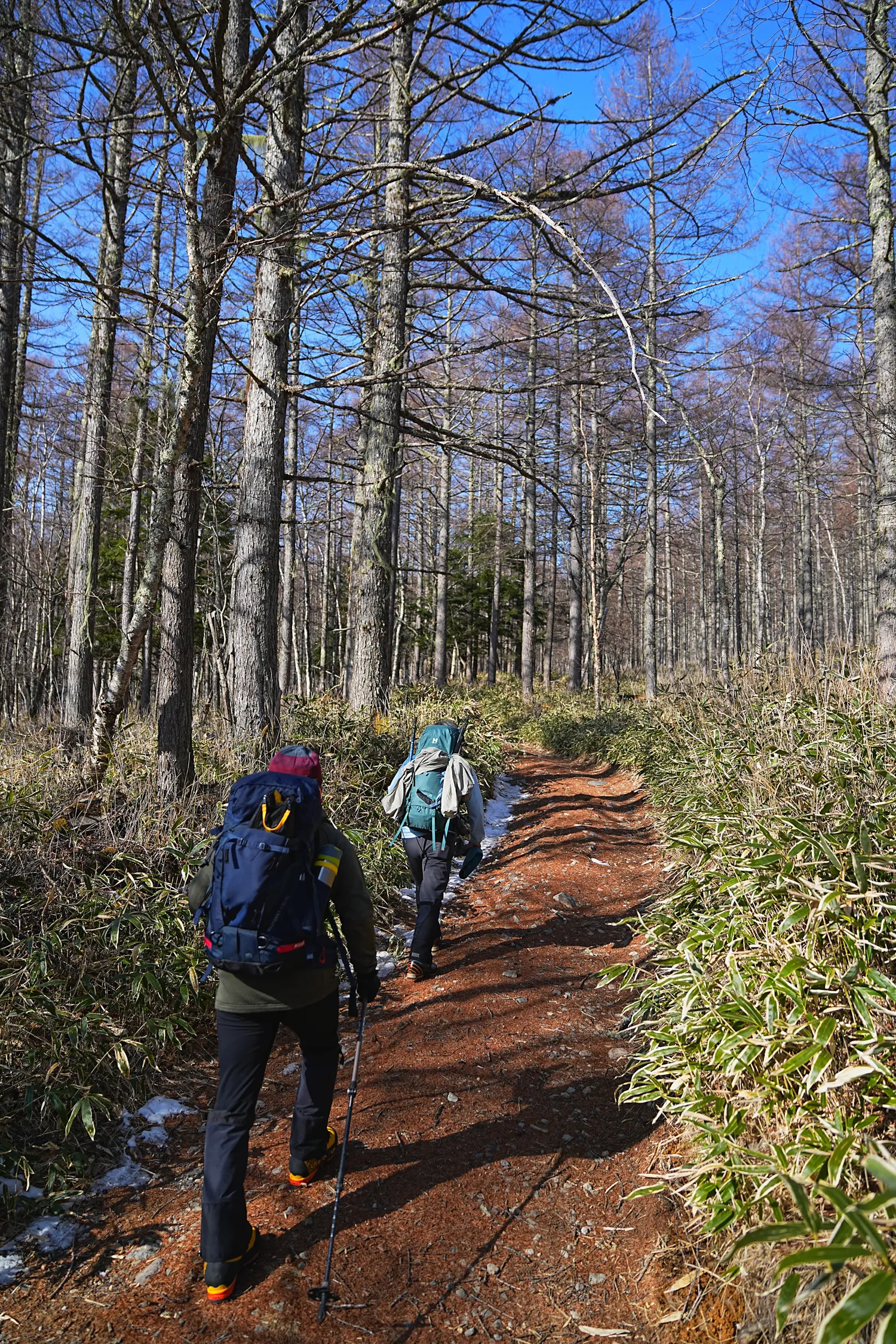 日本の秘湯 本沢温泉へ！日本最高所の野天風呂レポート！