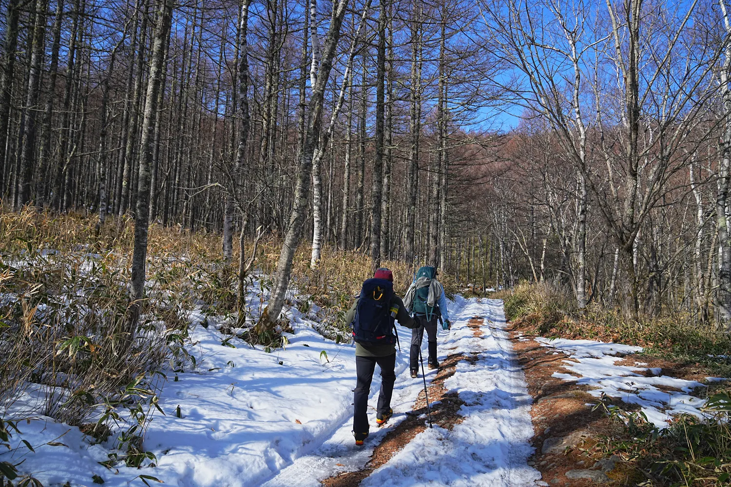 日本の秘湯 本沢温泉へ！日本最高所の野天風呂レポート！