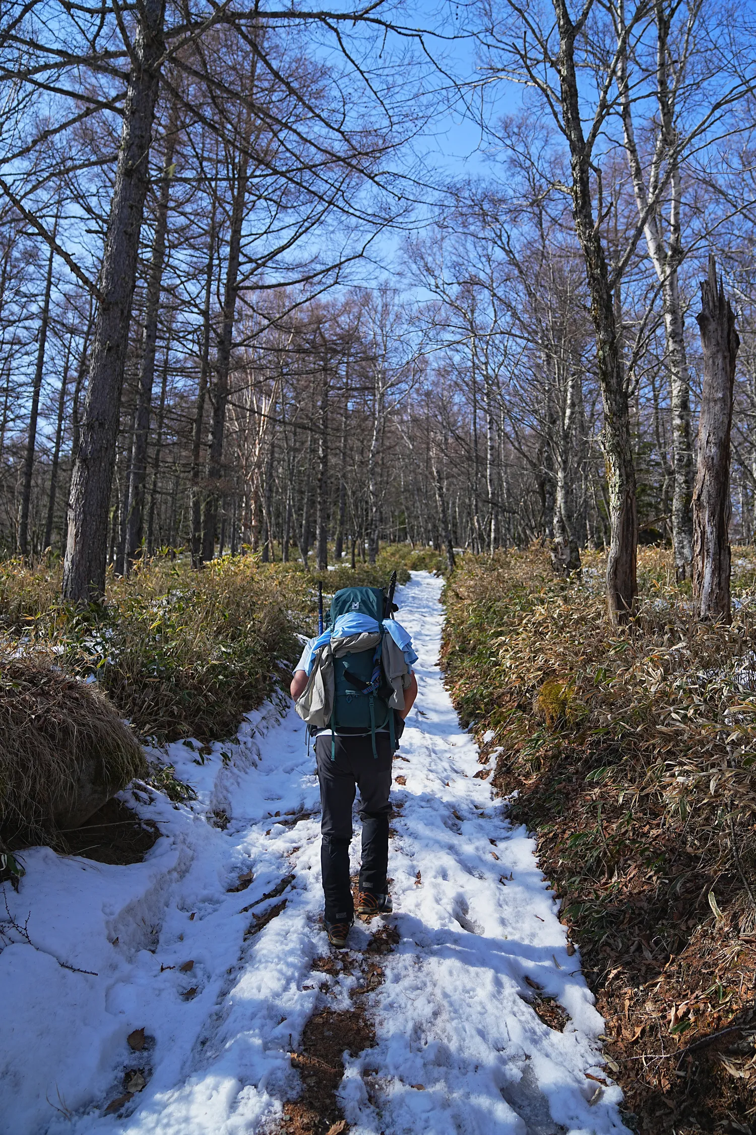 日本の秘湯 本沢温泉へ！日本最高所の野天風呂レポート！