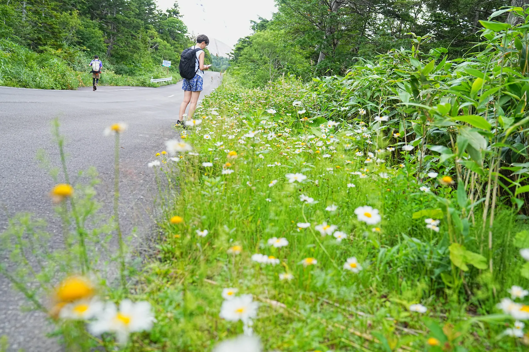 一切経山と東吾妻山ぐるっと登山