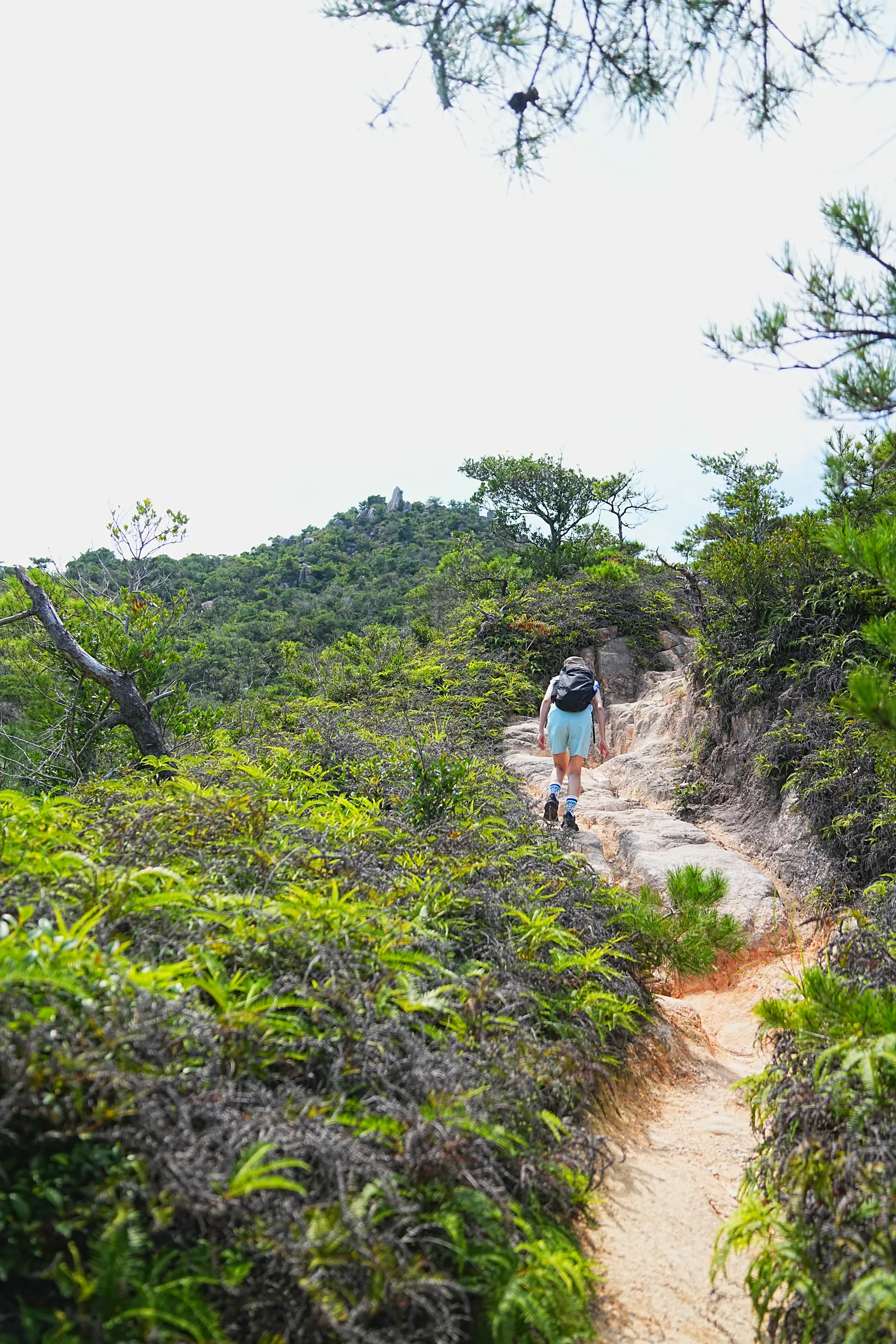 糸島の驚きの絶景！糸島ブルーの立石山ハイキング！