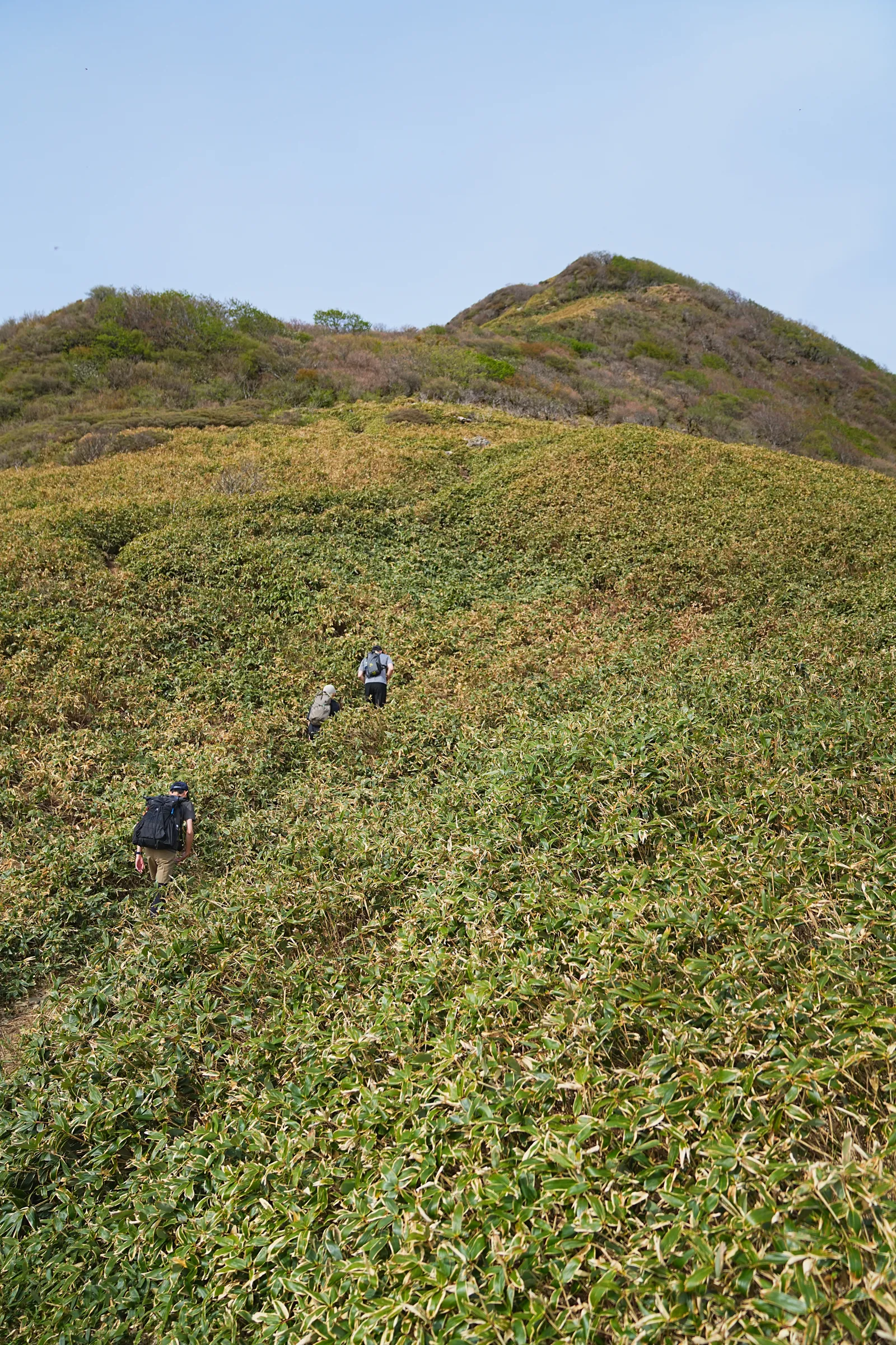 伊予富士 登山