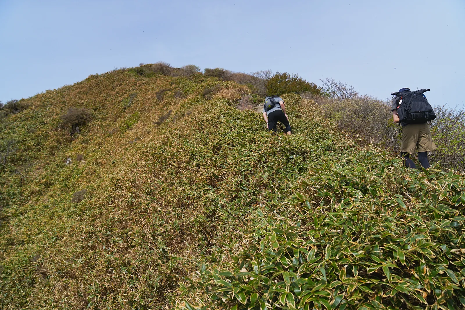 伊予富士 登山