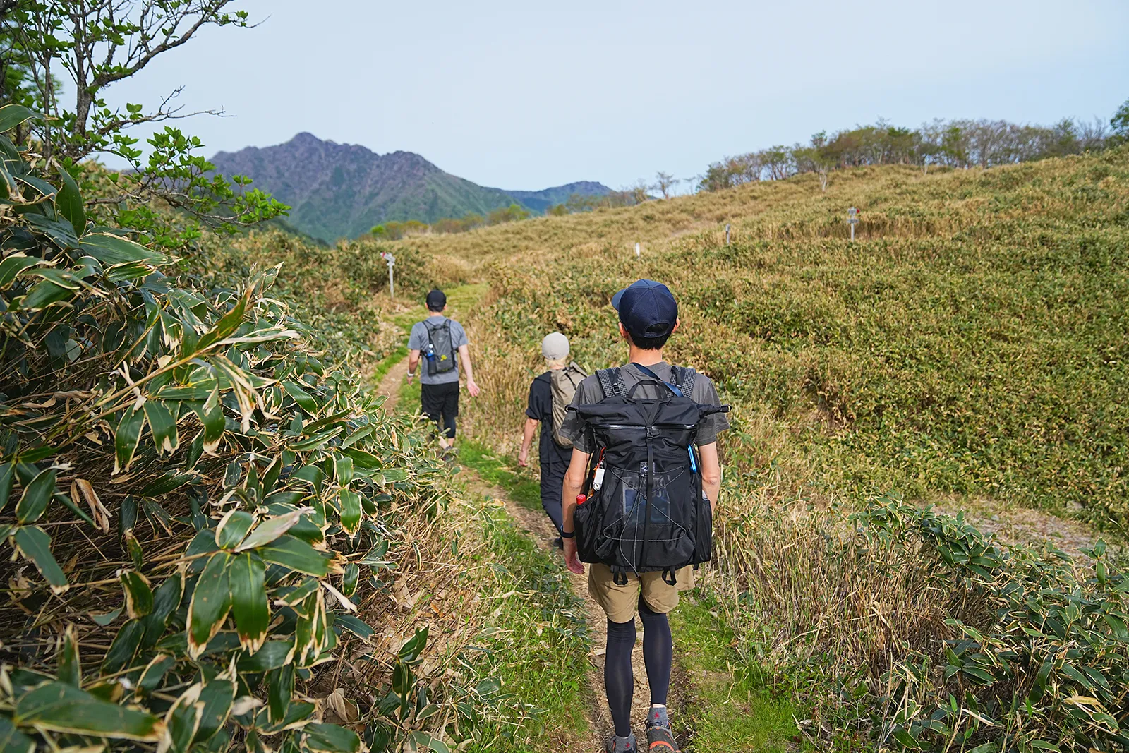 伊予富士 登山