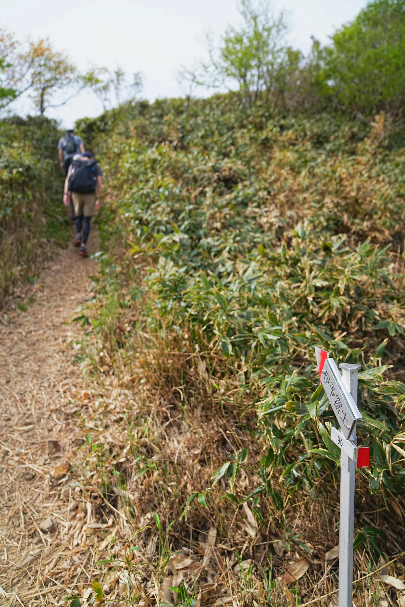 伊予富士 登山