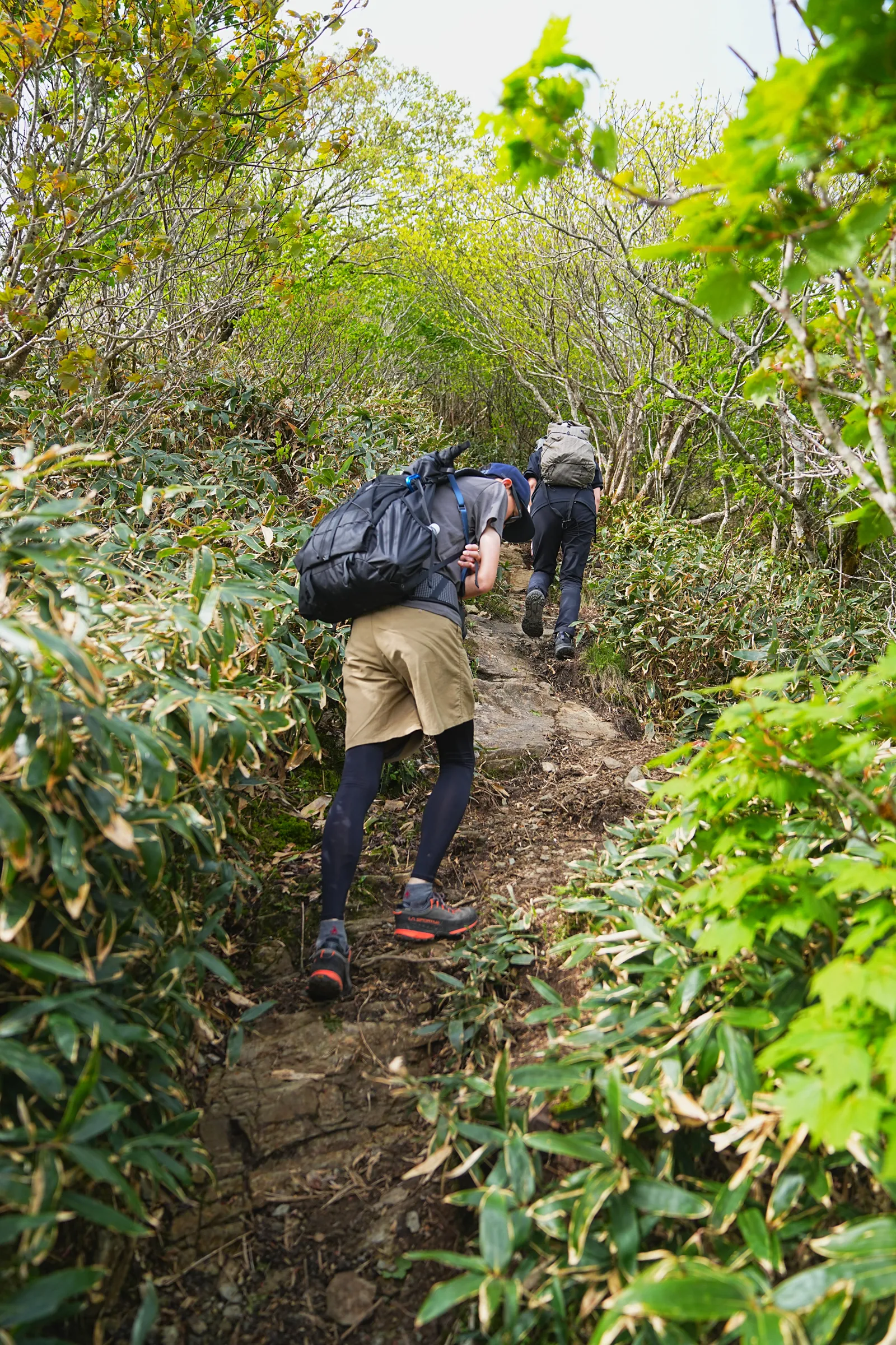 伊予富士 登山
