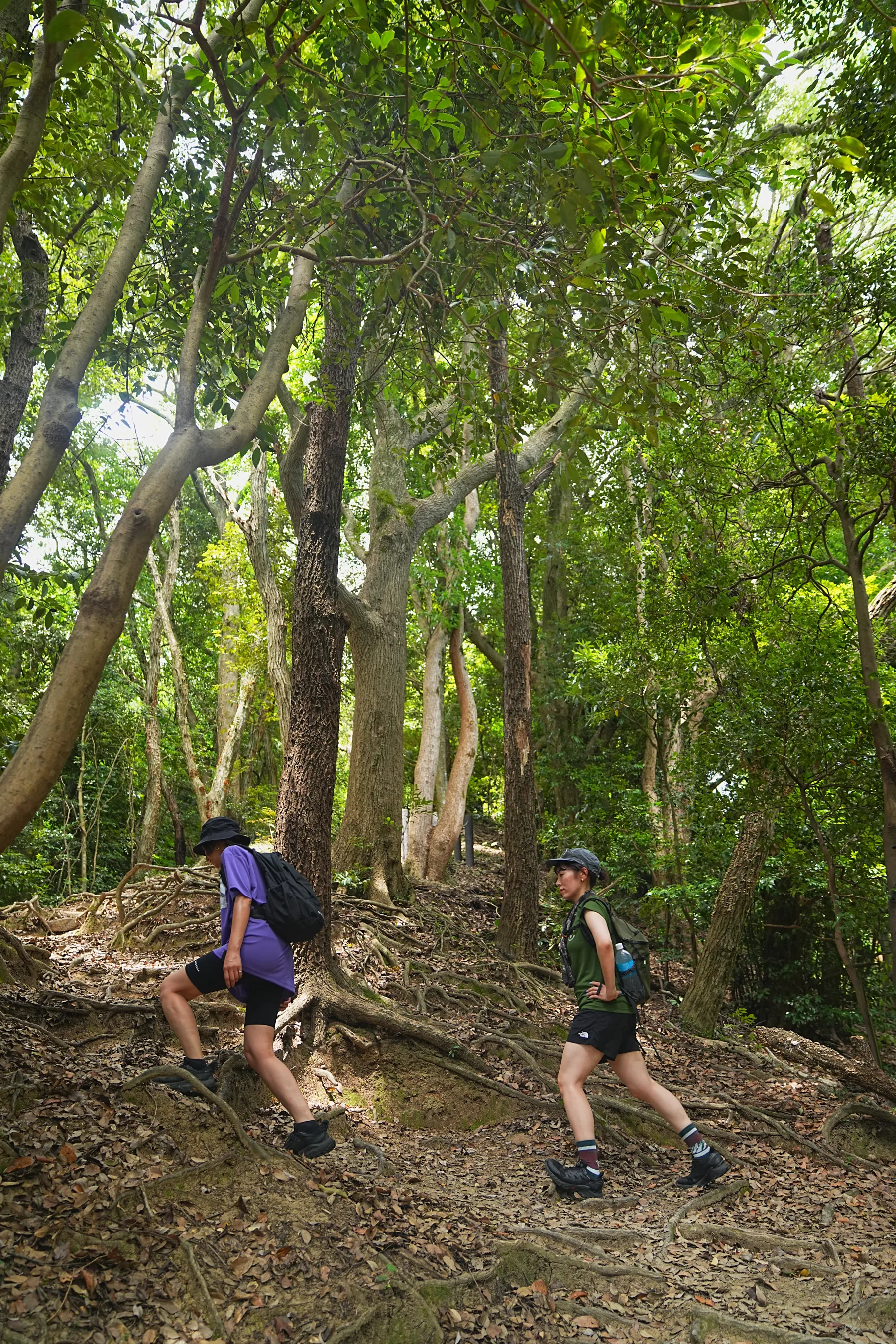 千葉のマッターホルン!?「伊予ヶ岳」登山！