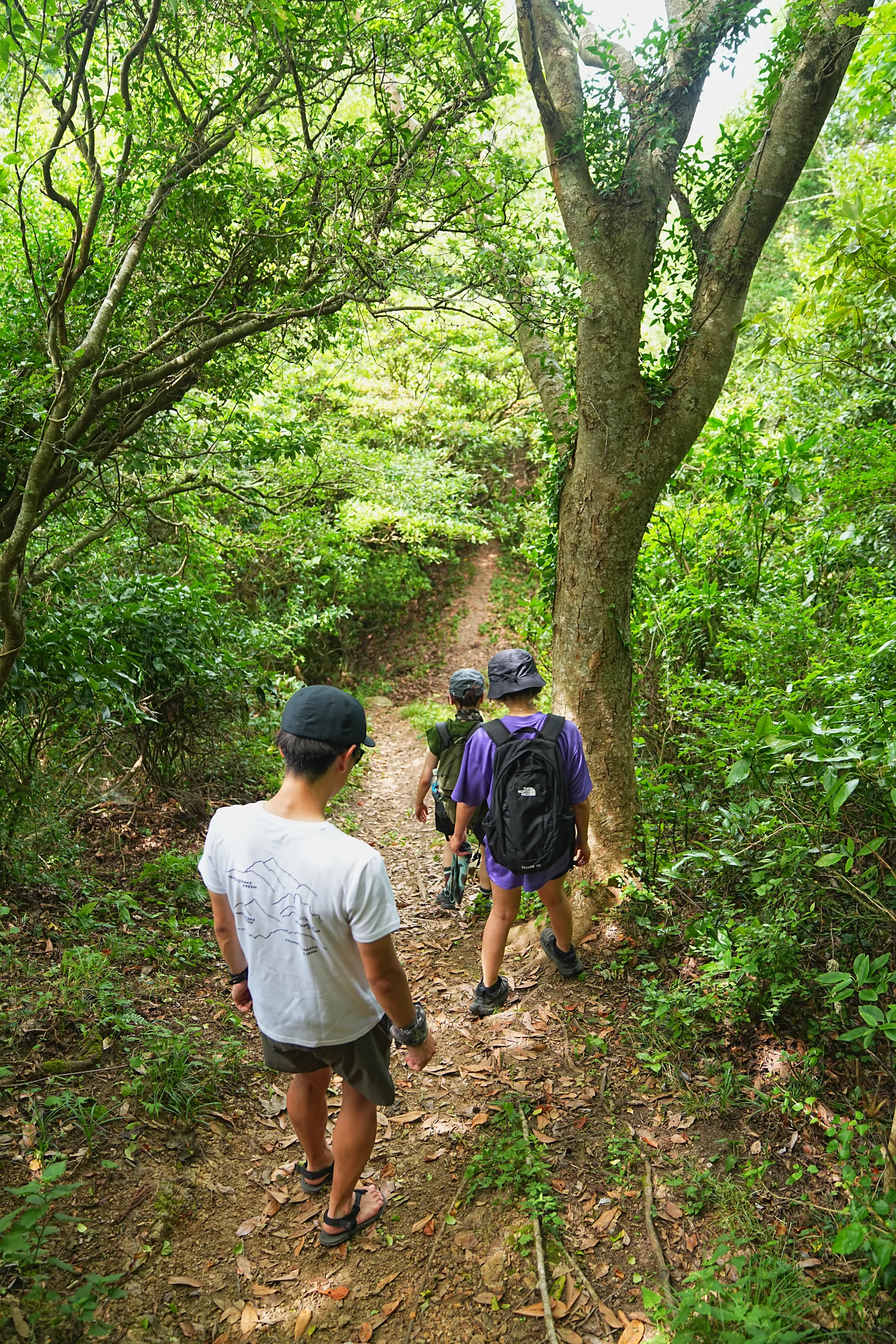 千葉のマッターホルン!?「伊予ヶ岳」登山！