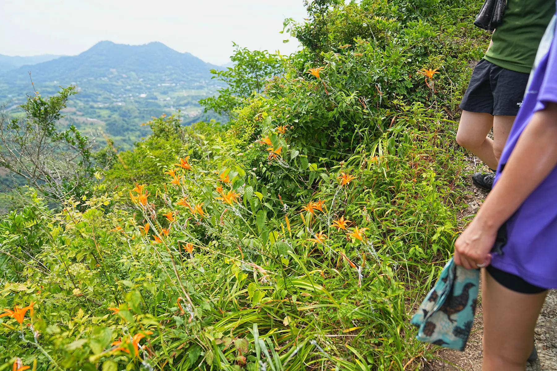 千葉のマッターホルン!?「伊予ヶ岳」登山！