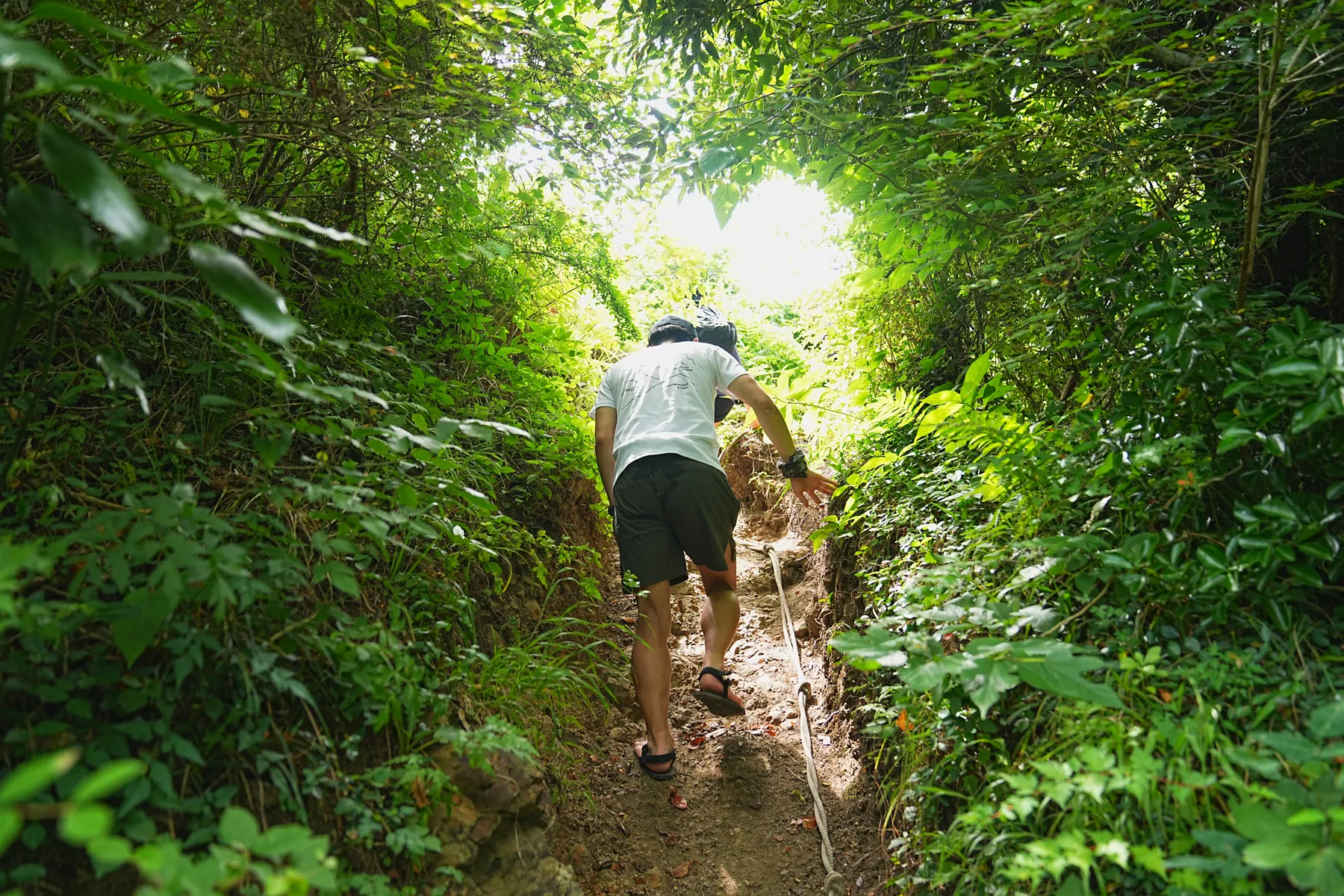 千葉のマッターホルン!?「伊予ヶ岳」登山！