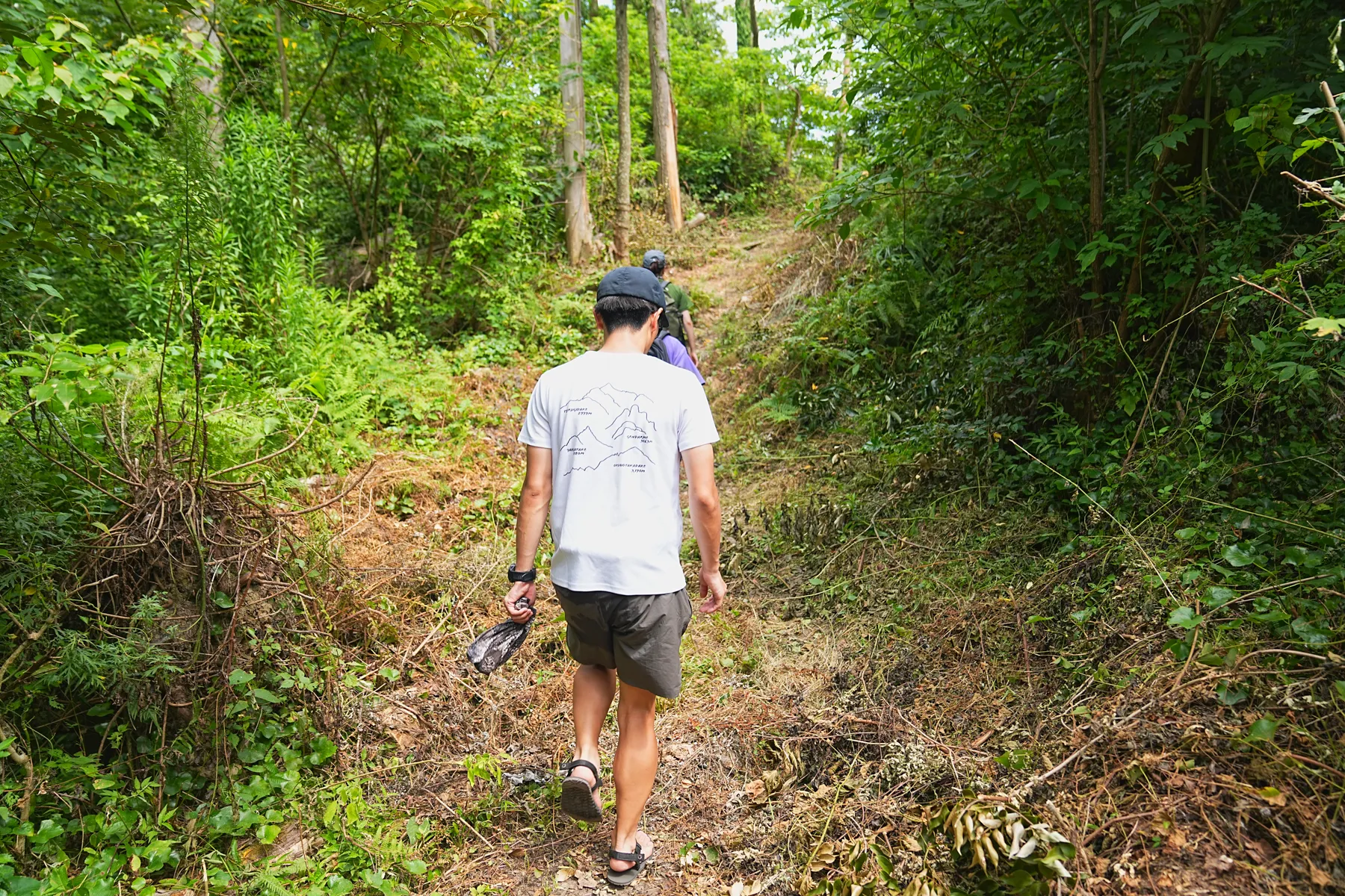 千葉のマッターホルン!?「伊予ヶ岳」登山！