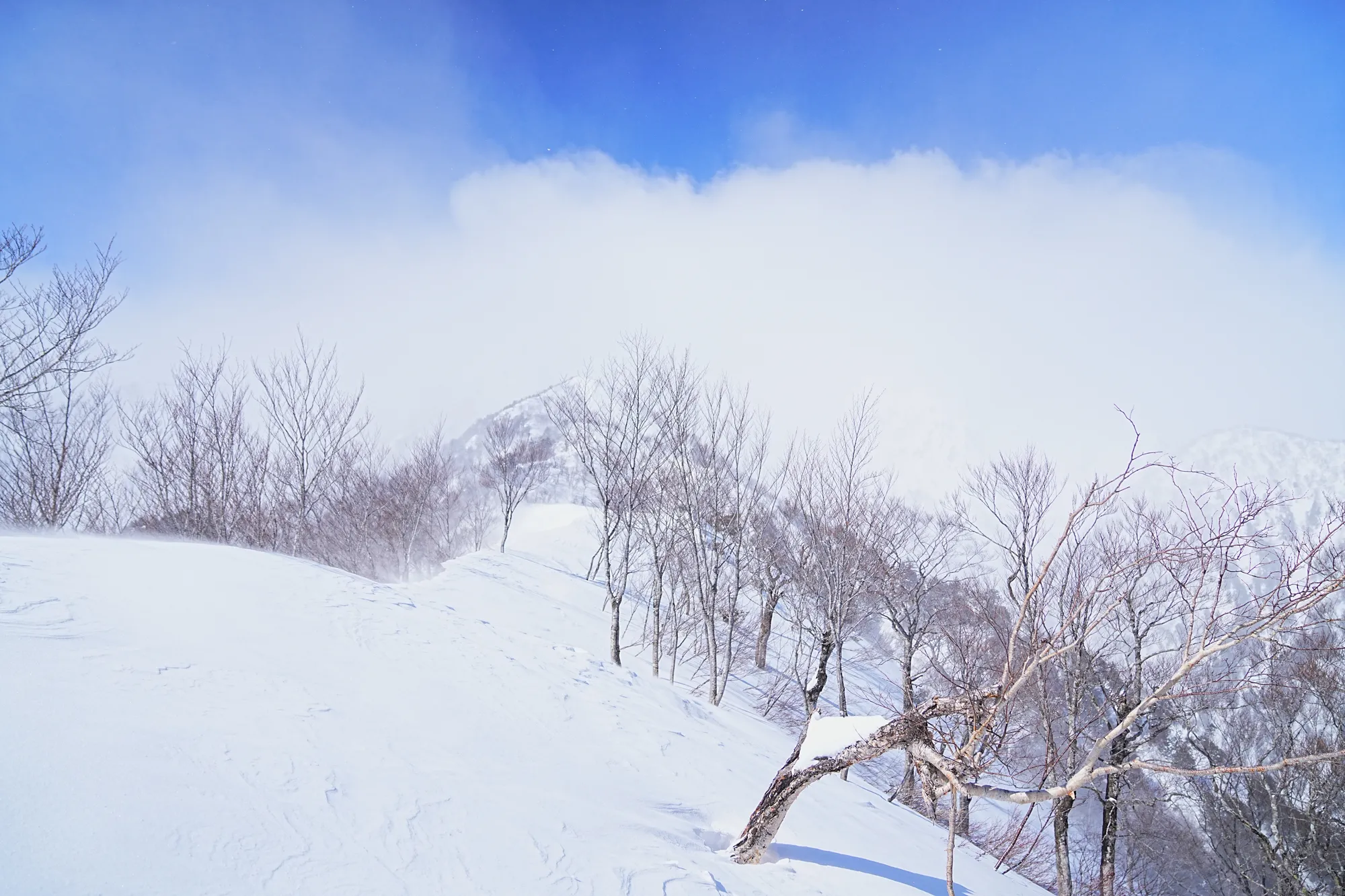 爺ヶ岳の冬季バリエーション「東尾根」で雪上テント泊！