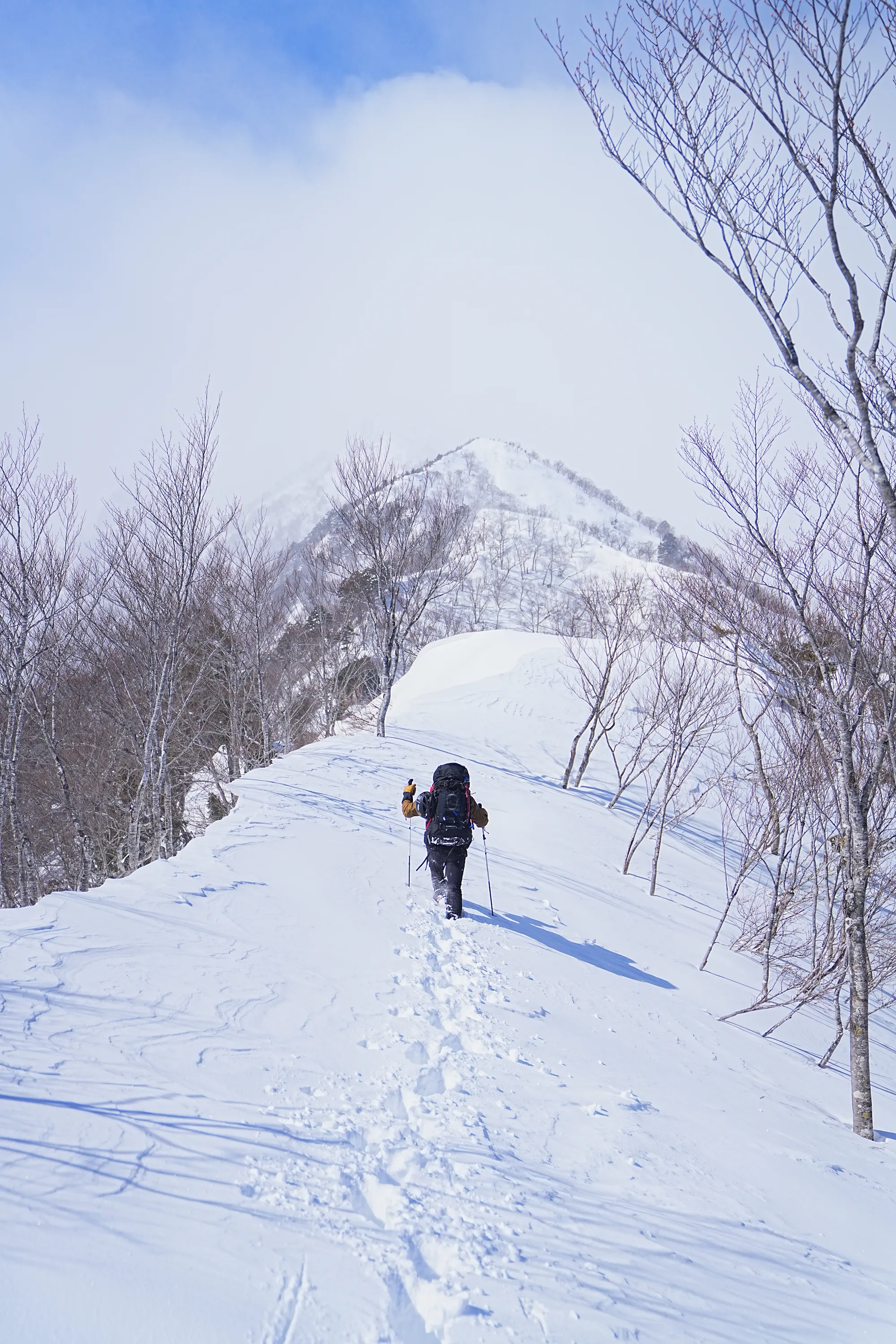 爺ヶ岳の冬季バリエーション「東尾根」で雪上テント泊！