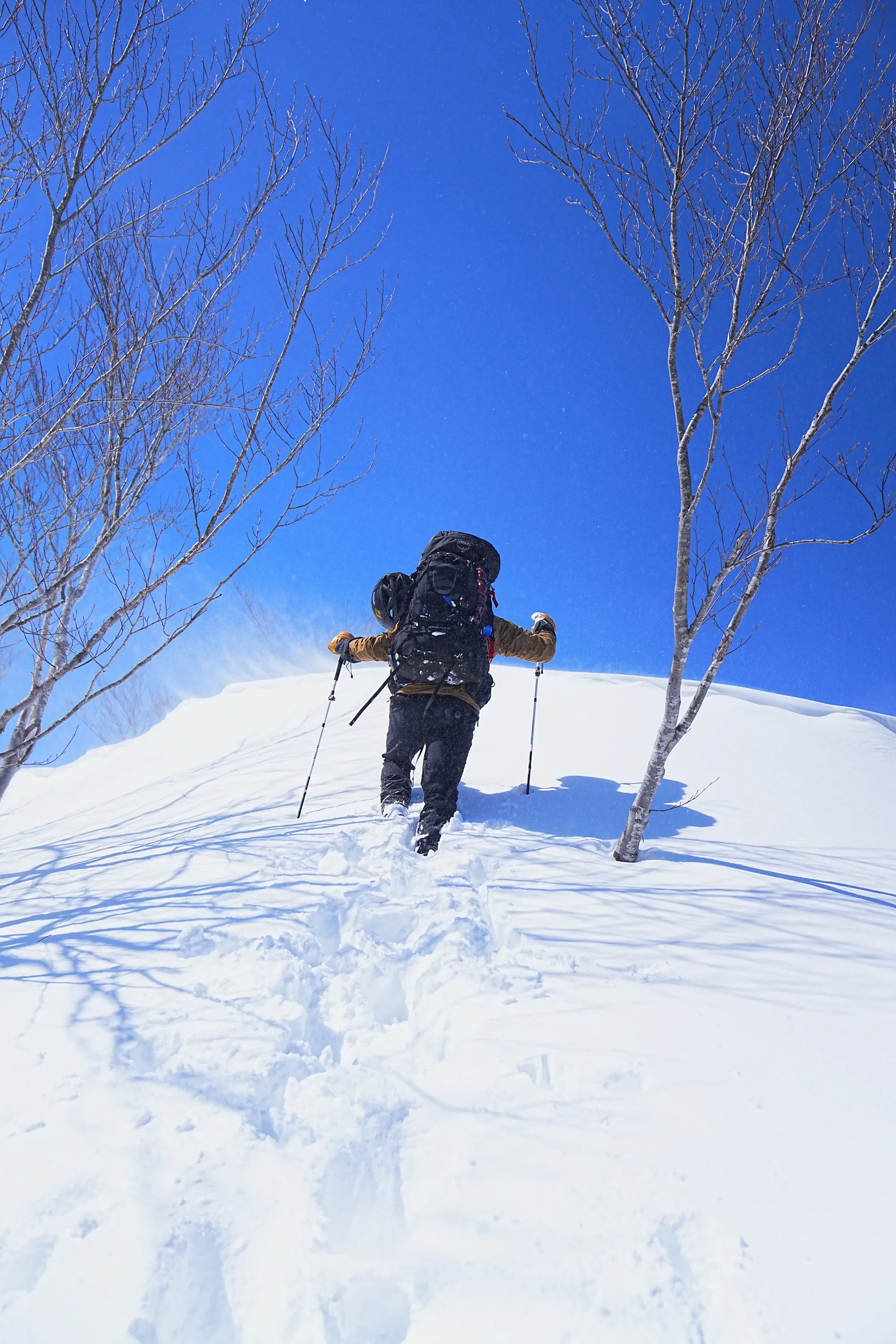 爺ヶ岳の冬季バリエーション「東尾根」で雪上テント泊！