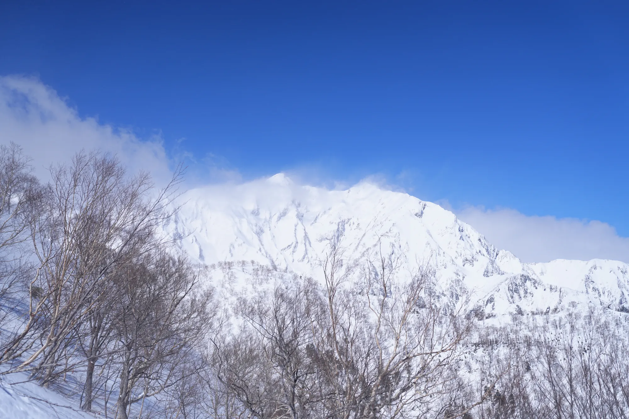 爺ヶ岳の冬季バリエーション「東尾根」で雪上テント泊！
