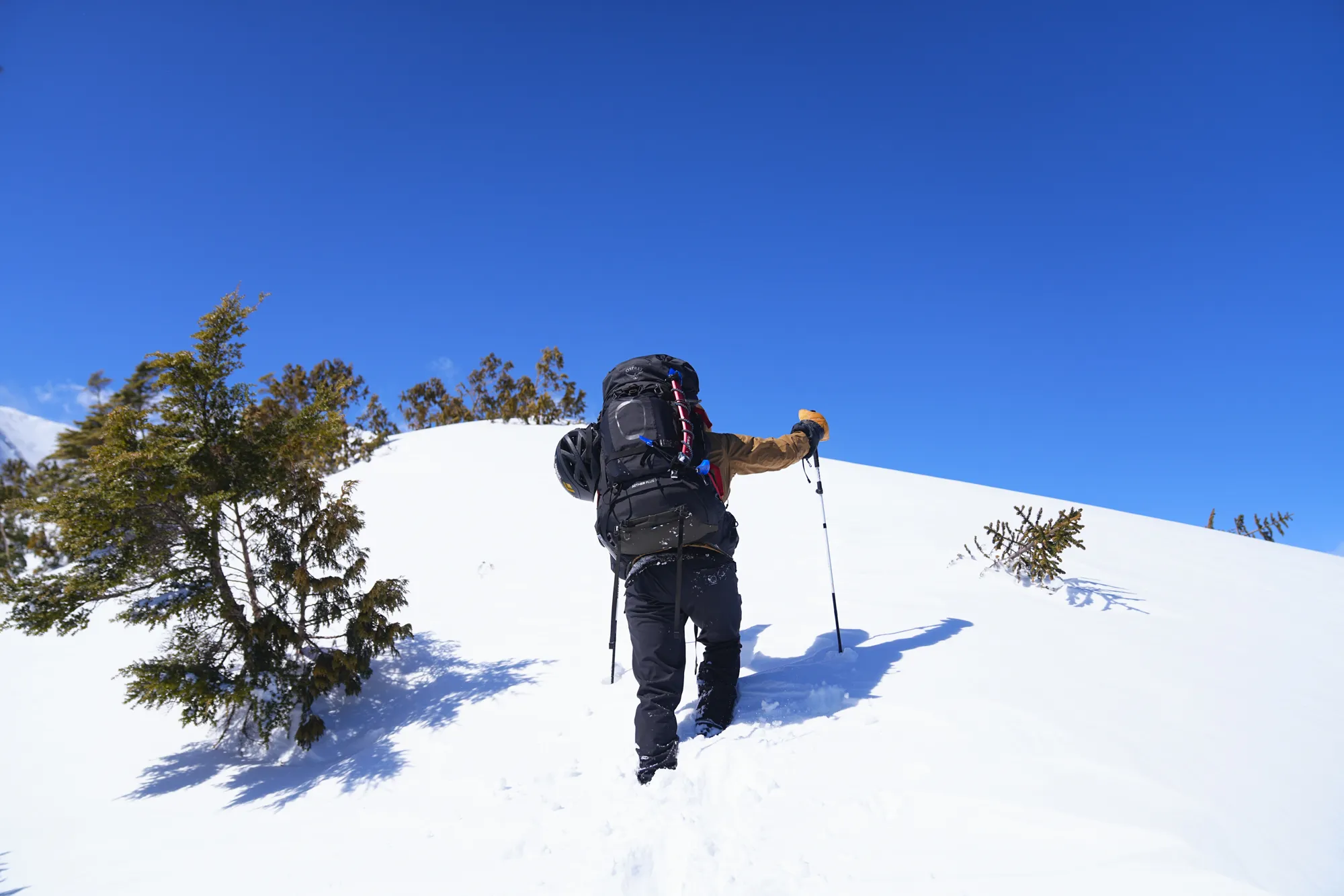 爺ヶ岳の冬季バリエーション「東尾根」で雪上テント泊！