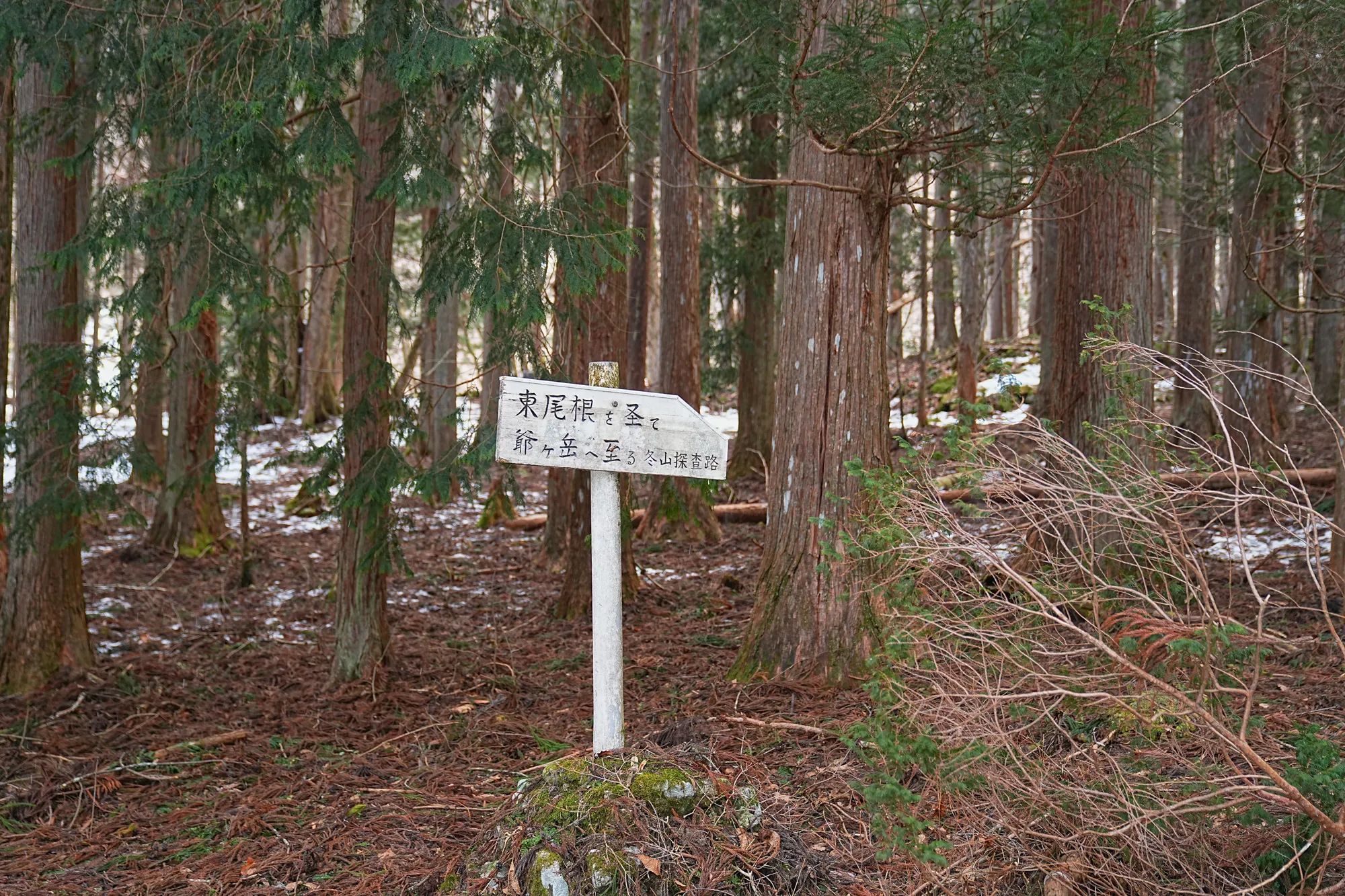 爺ヶ岳の冬季バリエーション「東尾根」で雪上テント泊！