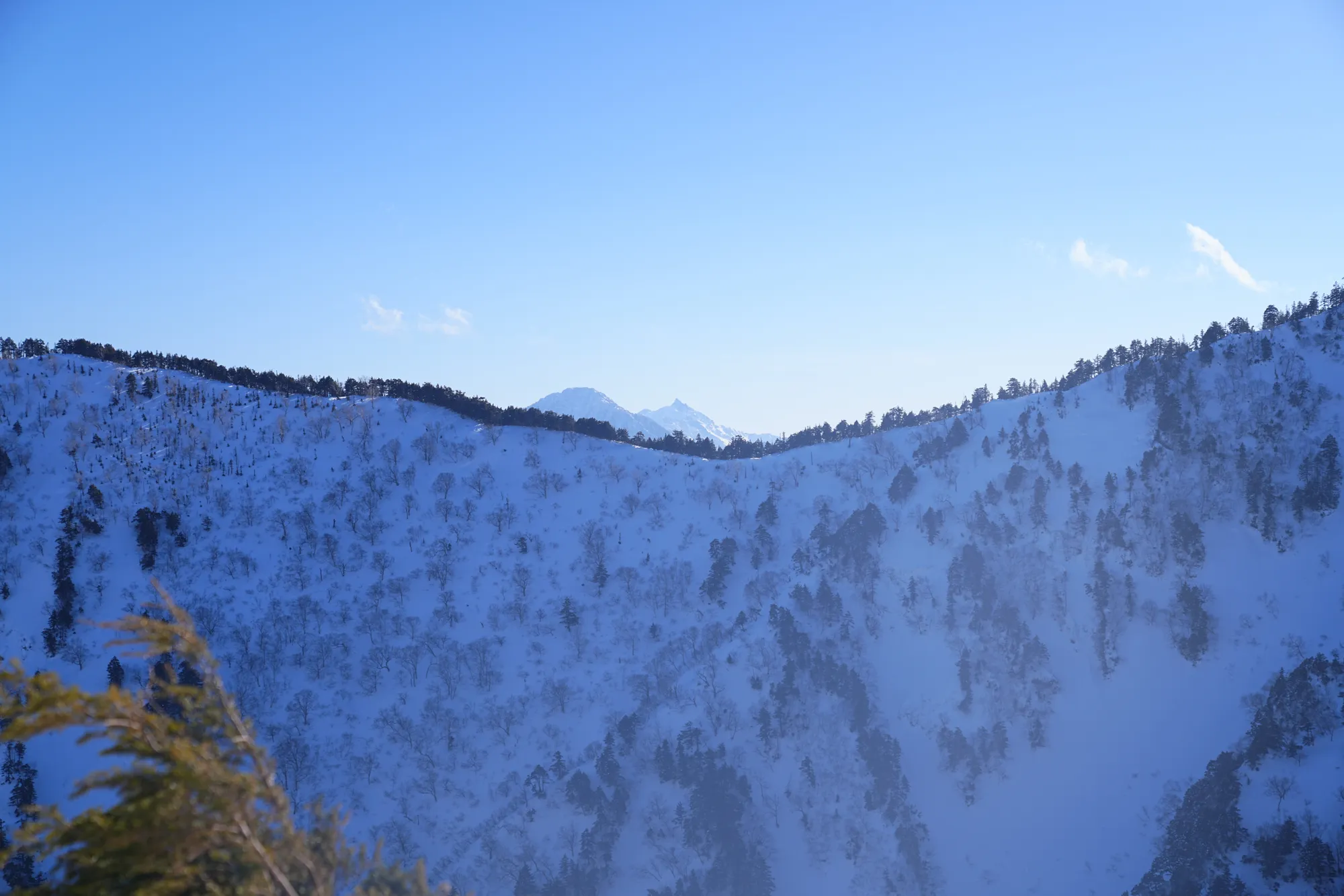 爺ヶ岳の冬季バリエーション「東尾根」で雪上テント泊！