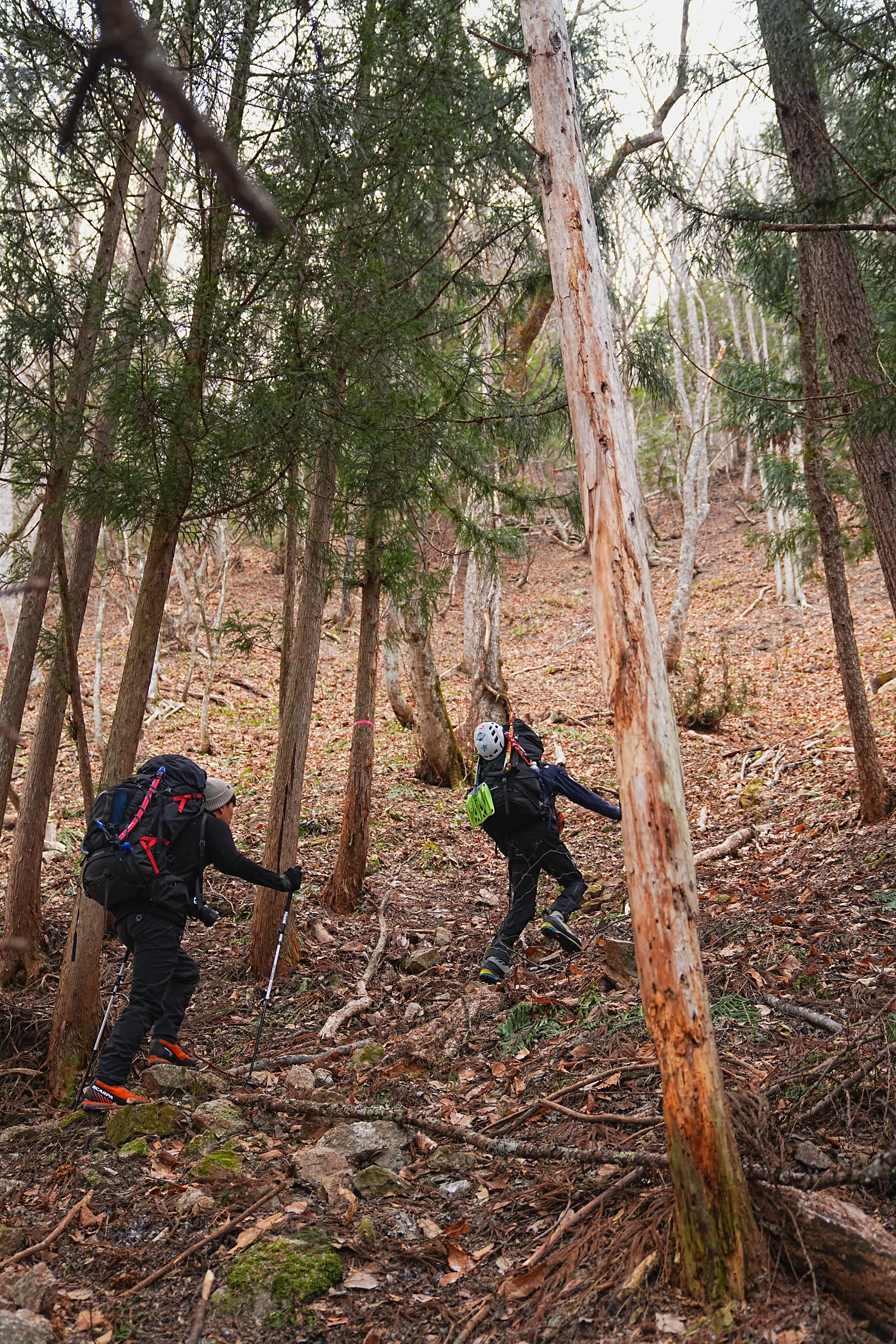 爺ヶ岳の冬季バリエーション「東尾根」で雪上テント泊！