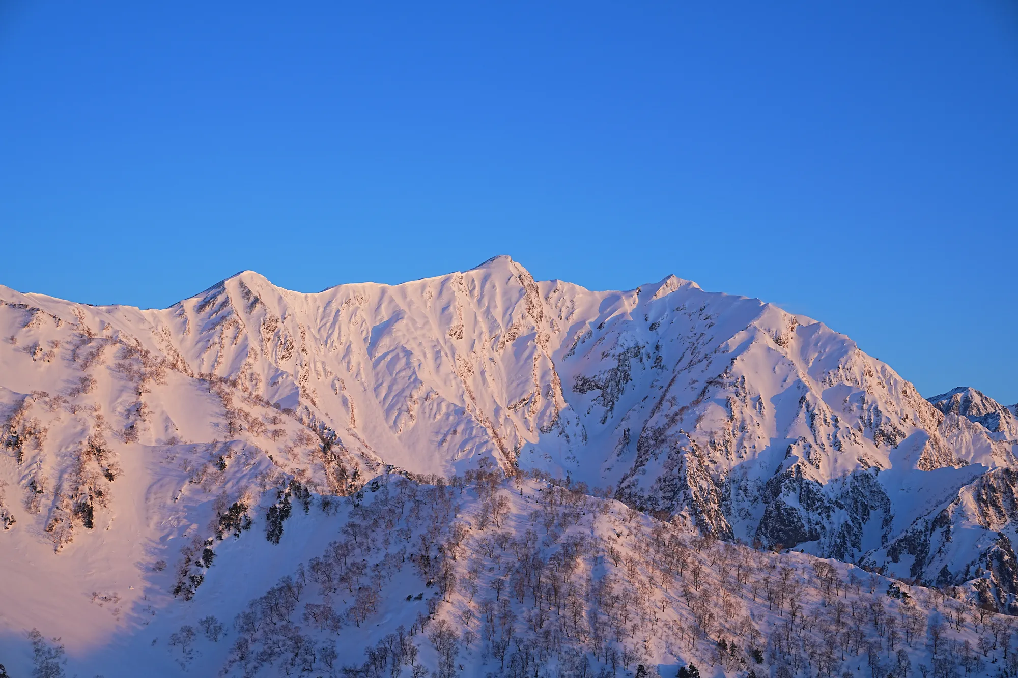 爺ヶ岳の冬季バリエーション「東尾根」で雪上テント泊！