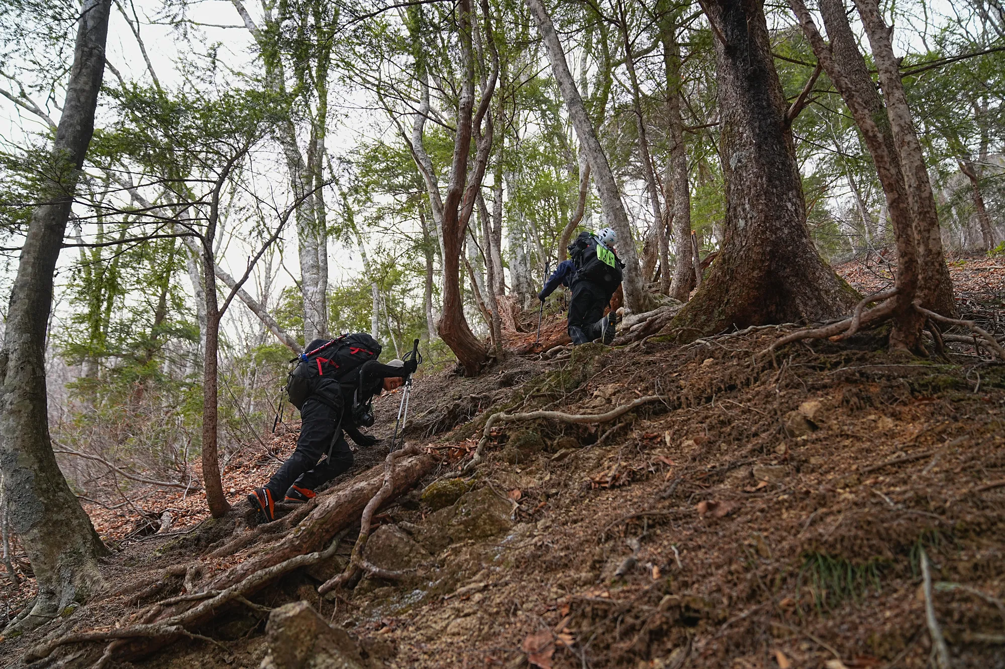 爺ヶ岳の冬季バリエーション「東尾根」で雪上テント泊！